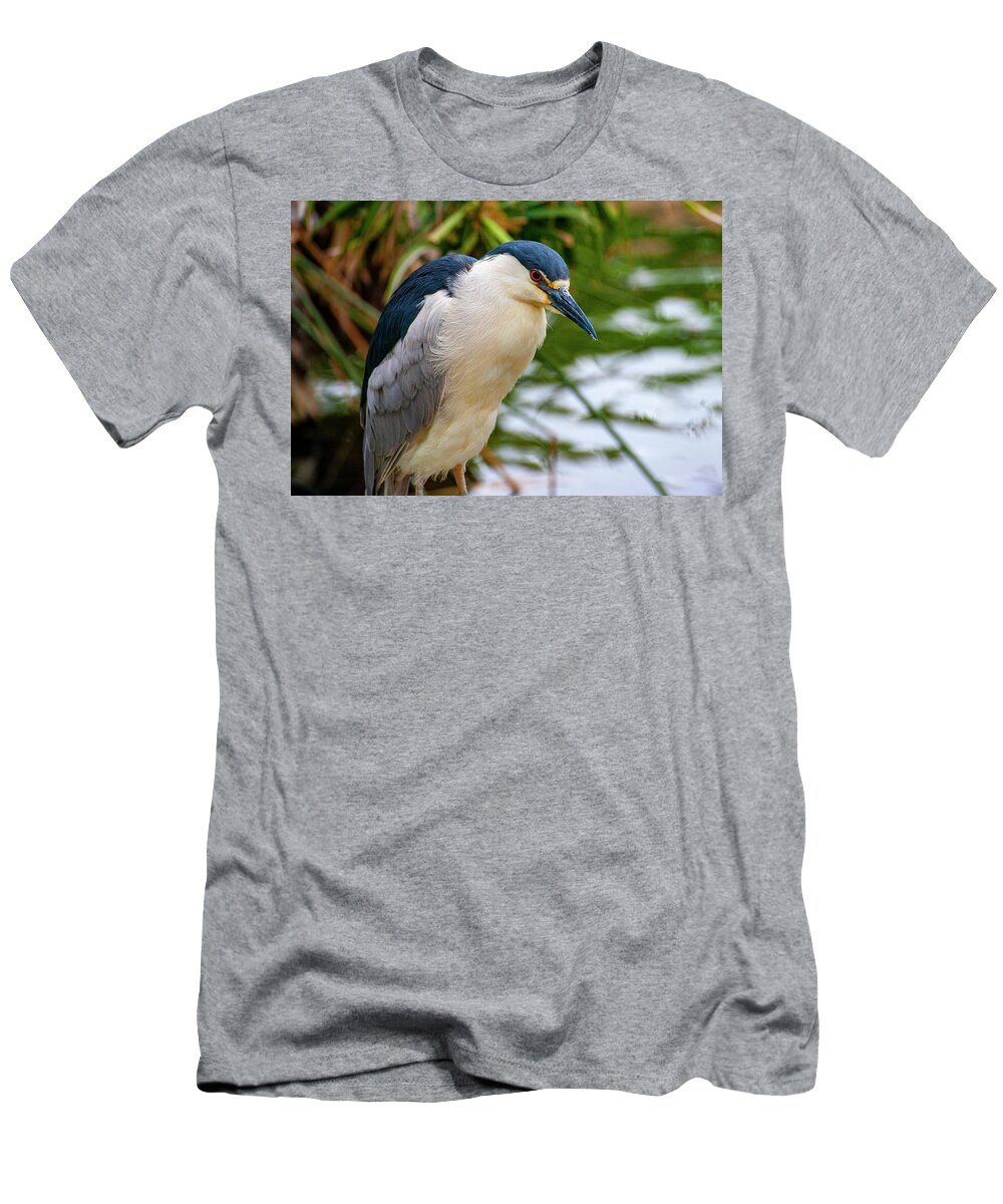 Heron T-Shirt featuring the photograph Black Crowned Night Heron closeup by Anthony Jones