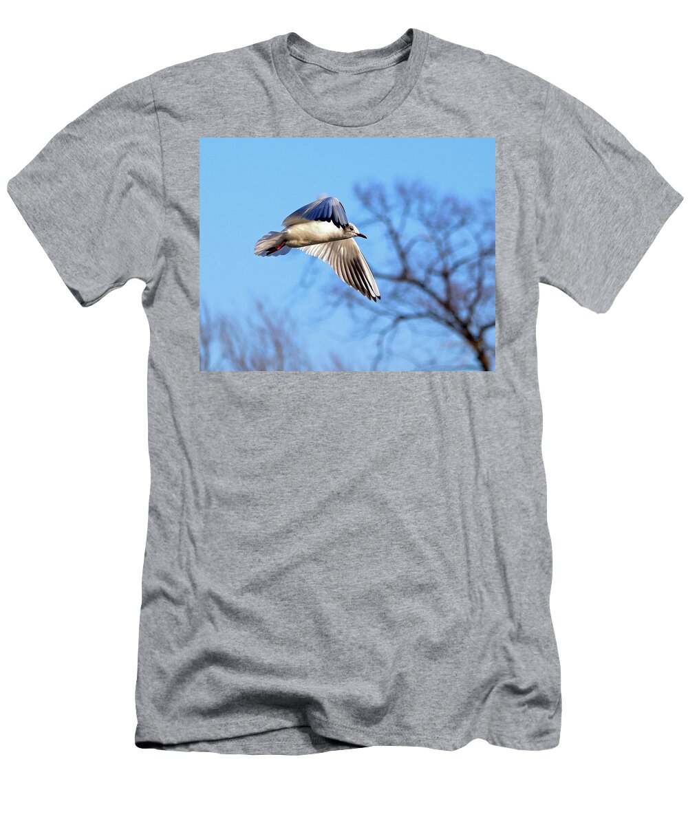Black Headed Gull T-Shirt featuring the photograph Black Headed Gull Flying by Jeff Townsend