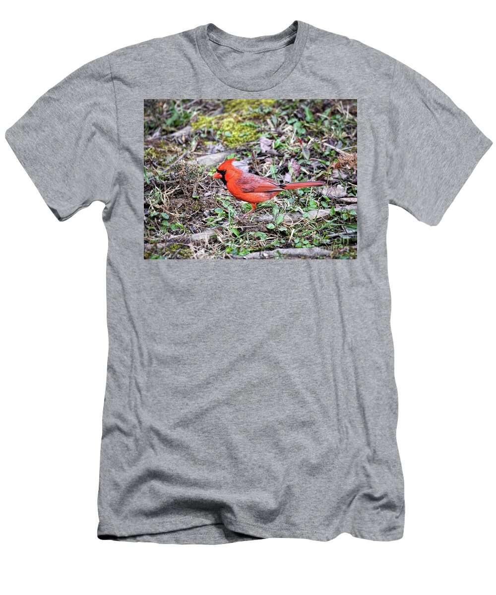 Birds T-Shirt featuring the photograph Blessed By Red - Male Northern Cardinal by Kerri Farley