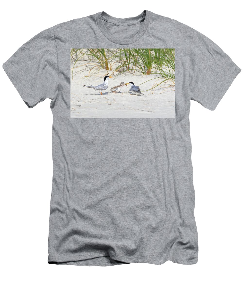 Bird T-Shirt featuring the photograph Braced to Feed by Susan Rissi Tregoning
