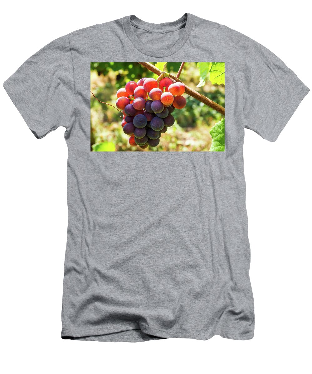 Grape T-Shirt featuring the photograph Bunch of grapes - 4 by Paul MAURICE
