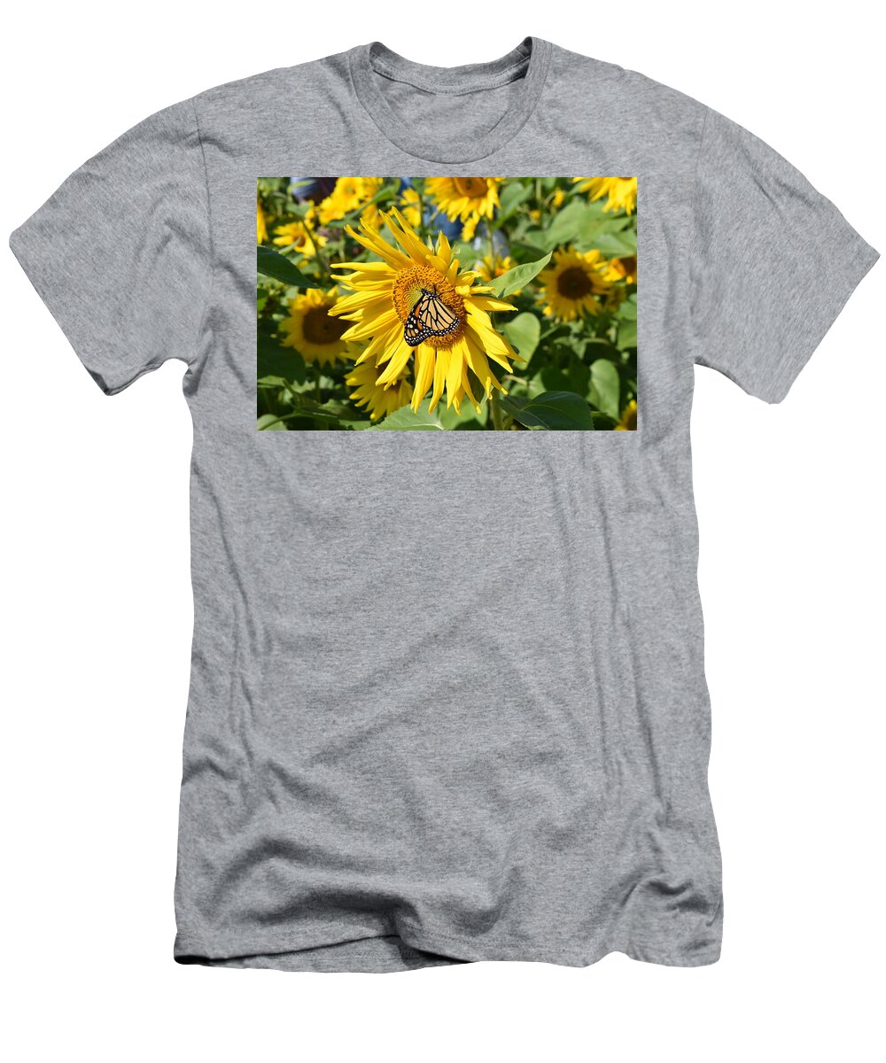 Butterfly T-Shirt featuring the photograph Sunflower Butterfly by Rose Guinther