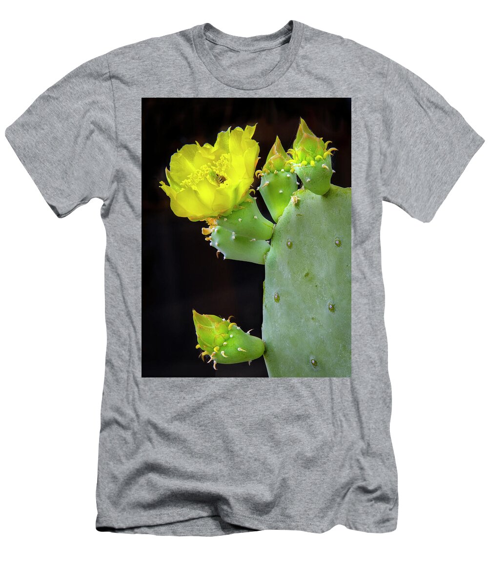 Texas T-Shirt featuring the photograph Texas Cactus Blooms With Bee II by Harriet Feagin