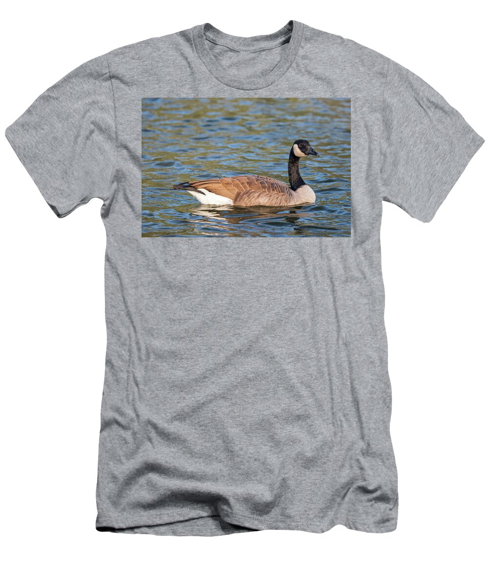 Canadian Goose T-Shirt featuring the photograph Canadian Goose Closeup, Mississippi by Jordan Hill