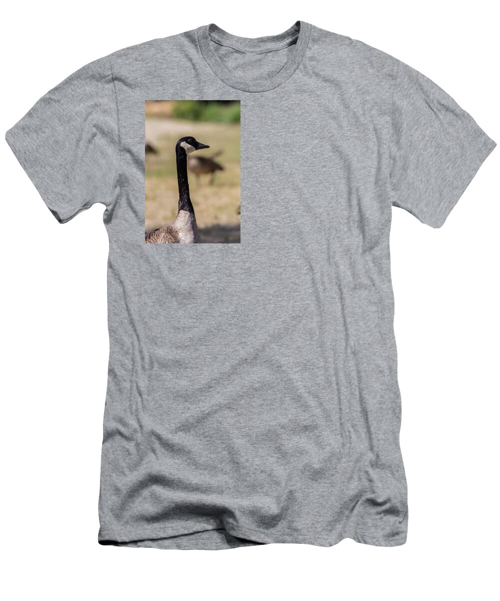 Lake T-Shirt featuring the photograph Canadian goose, Mississippi River State Park by Julieta Belmont