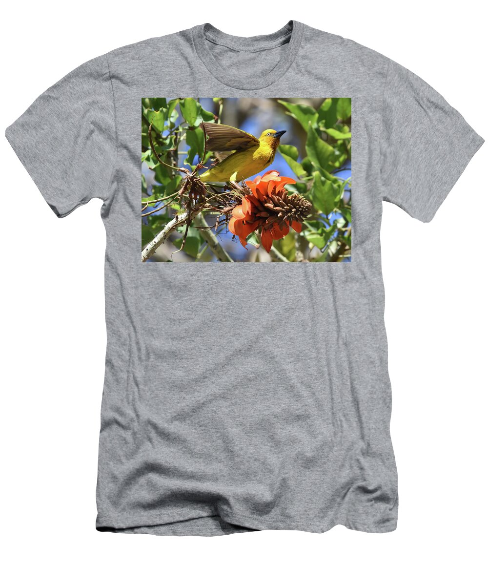 Weaver T-Shirt featuring the photograph Cape Weaver by Ben Foster