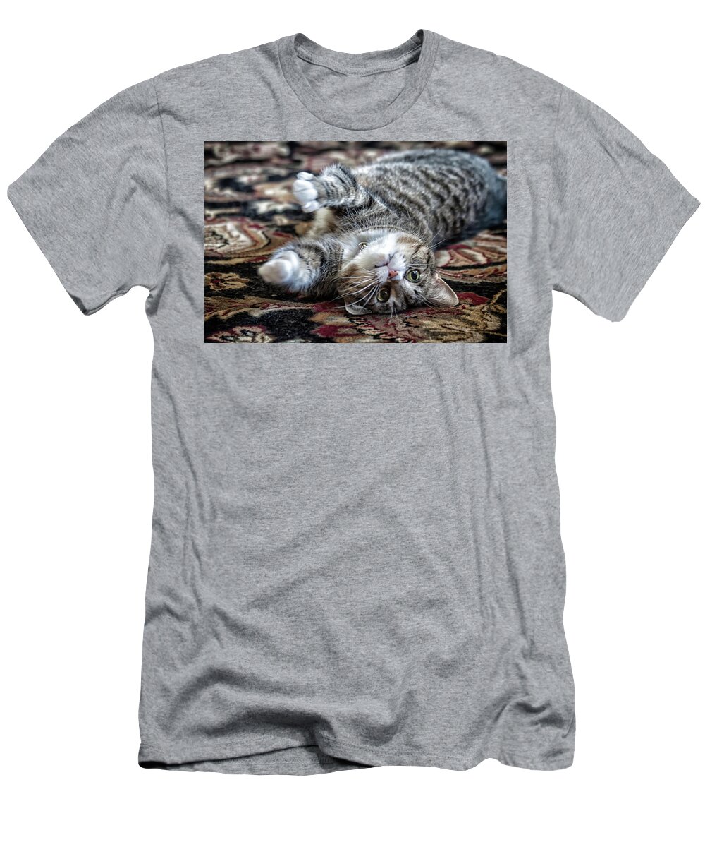 Cat T-Shirt featuring the photograph Cat rolling on carpet by Lauri Novak