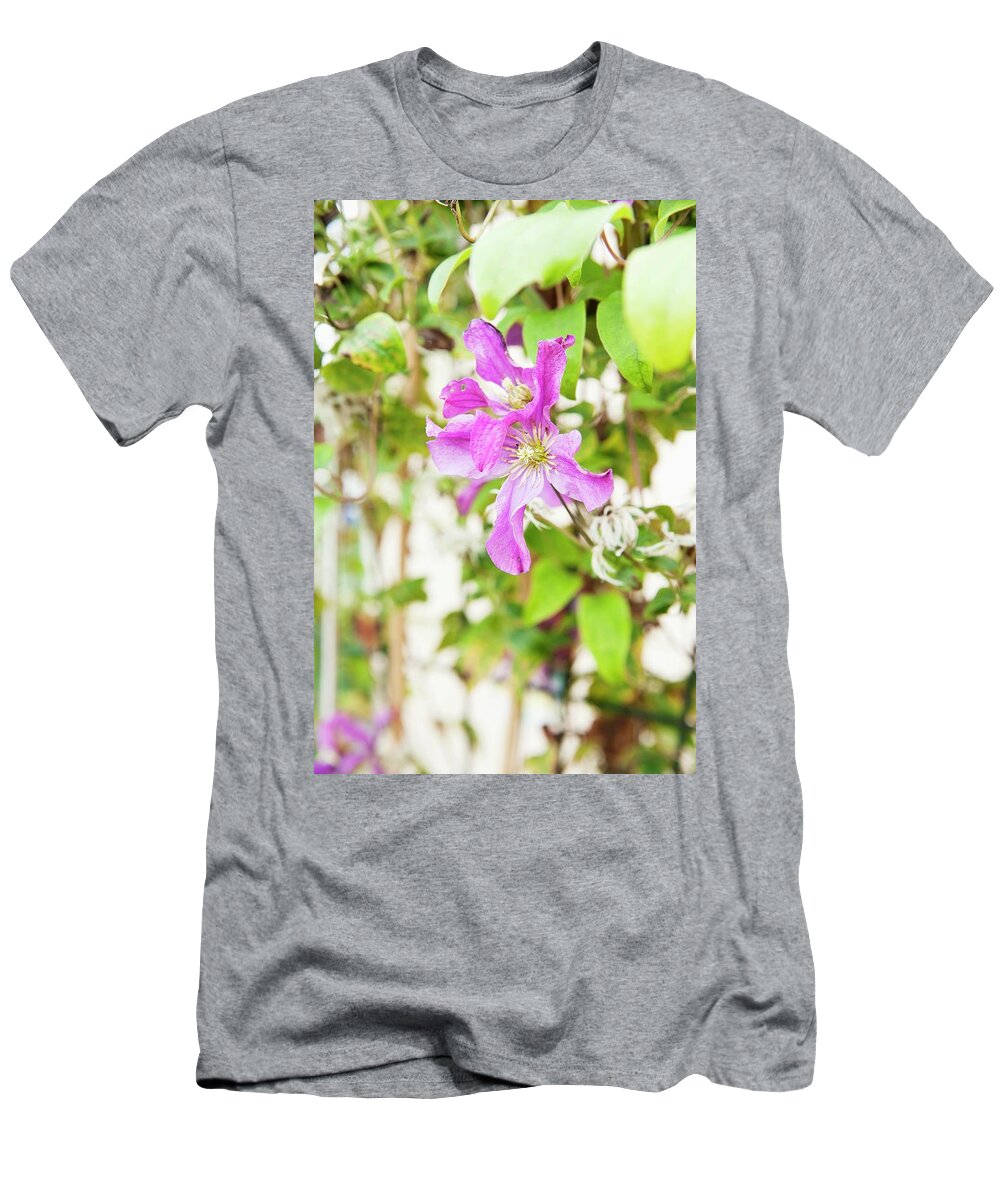 Ip_00725519 T-Shirt featuring the photograph Clematis In A Garden by Manuela Rther