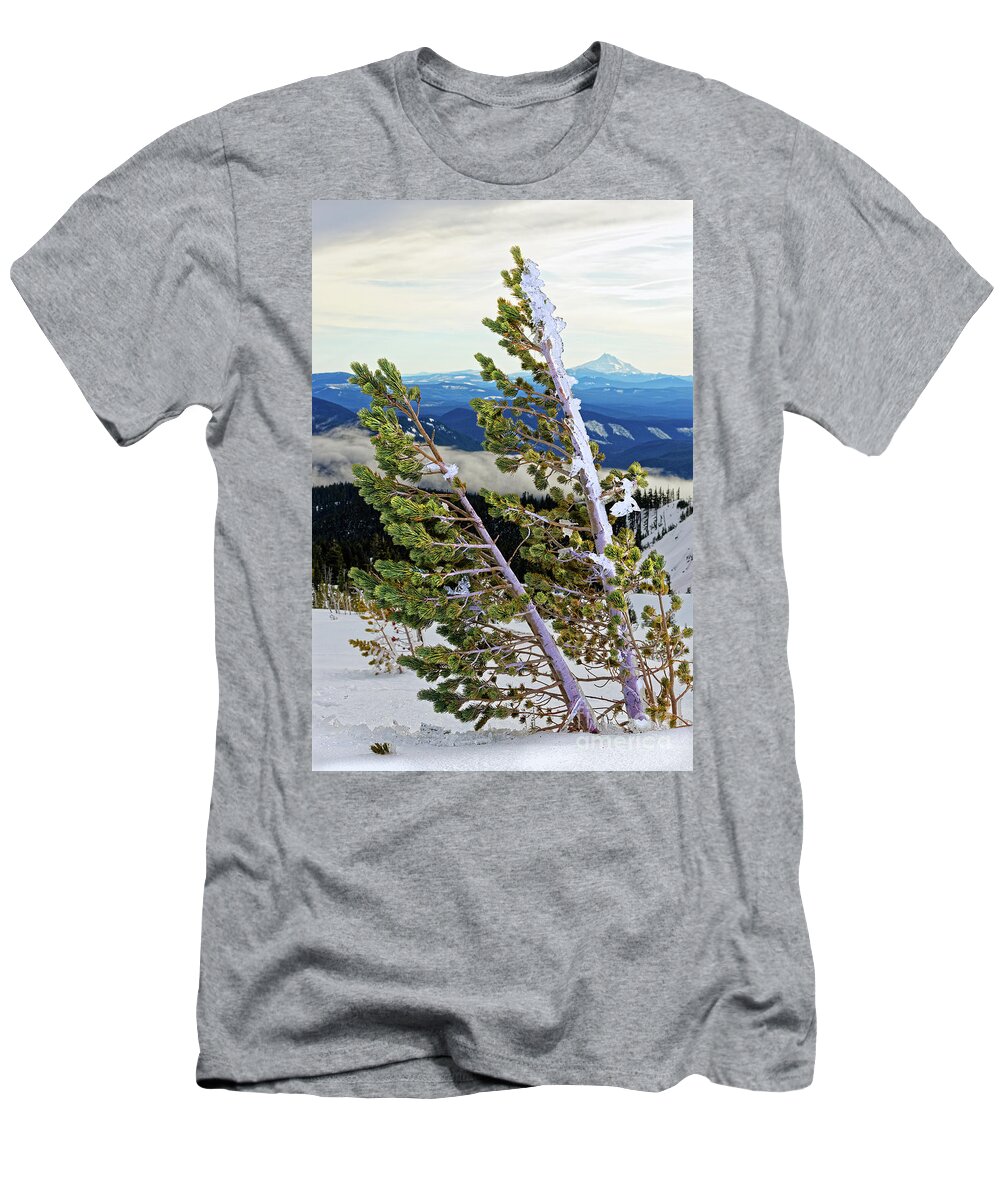 Nature T-Shirt featuring the photograph Closeup Ice Covered Icy Conifer Tree Leaning From Wind With Winter Forest Valley In Background by Robert C Paulson Jr