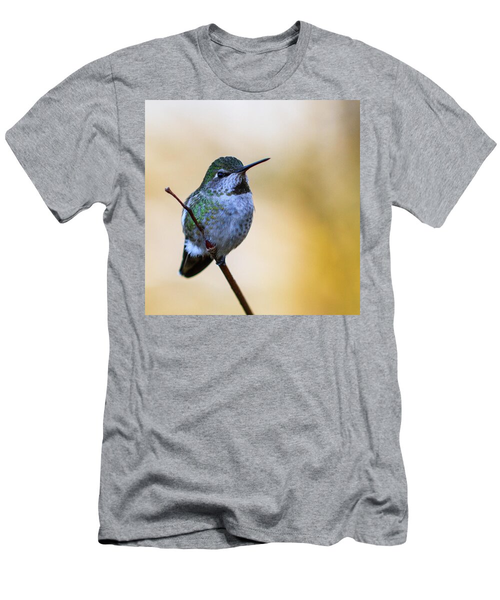 Animal T-Shirt featuring the photograph Contemplation by Briand Sanderson