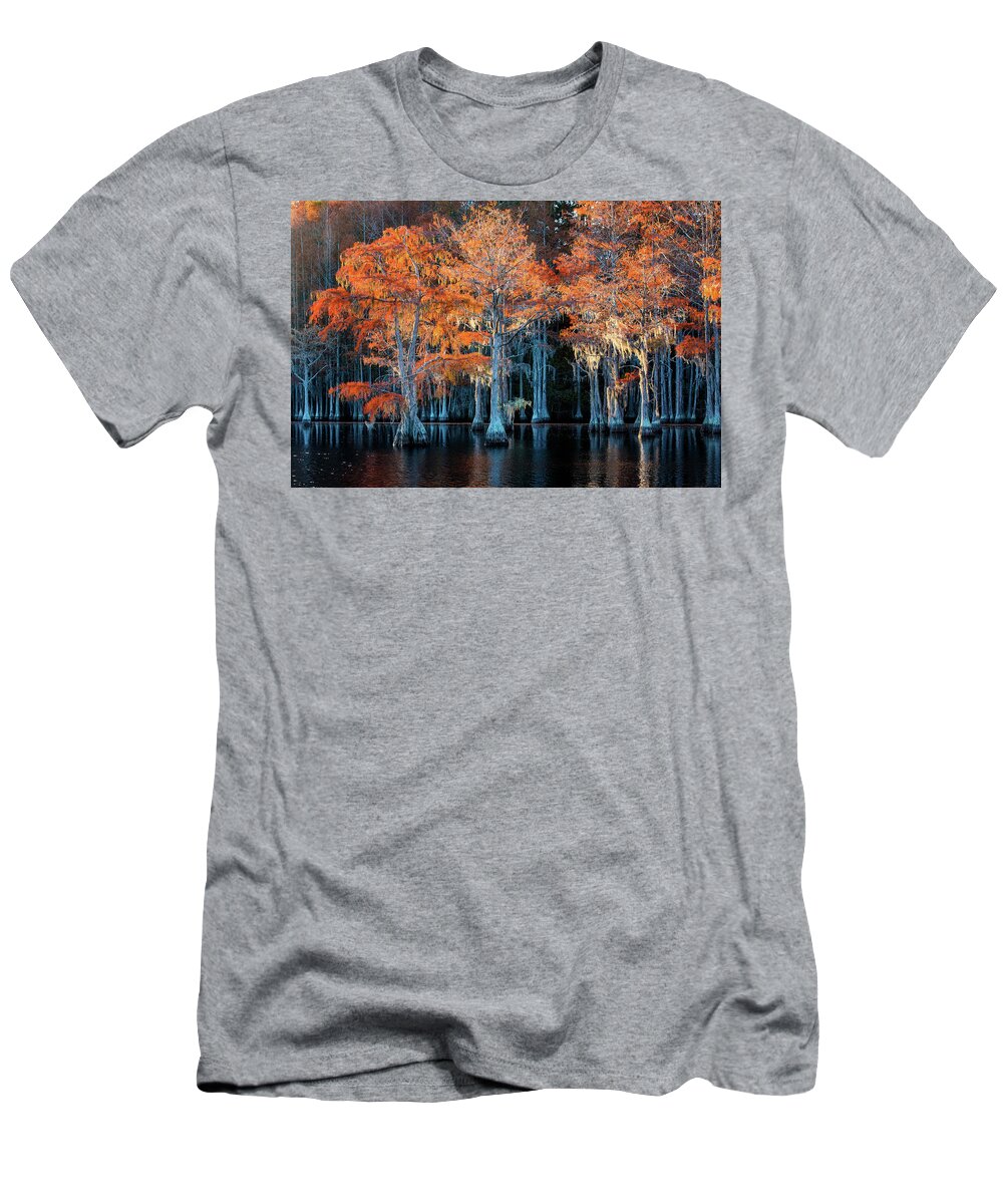 Abstract T-Shirt featuring the photograph Cypress Forest-3 by Alex Mironyuk
