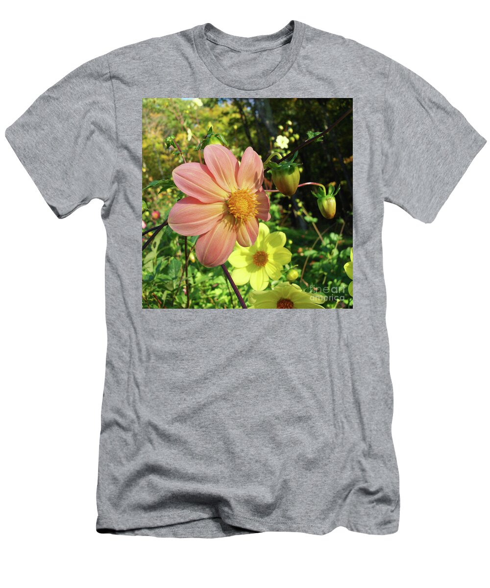 Dahlia T-Shirt featuring the photograph Dahlia 5 by Amy E Fraser