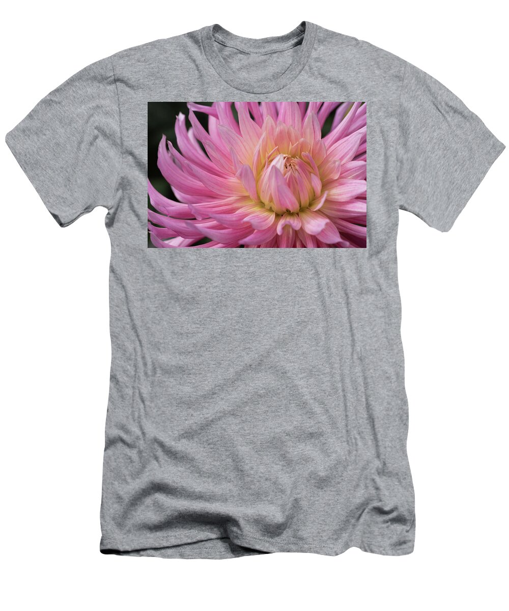105mm T-Shirt featuring the photograph Dahlia Anemone by Laura Macky