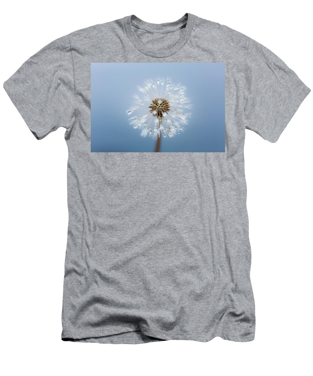 Abstract T-Shirt featuring the photograph Make A Wish - on Blue by Anita Nicholson