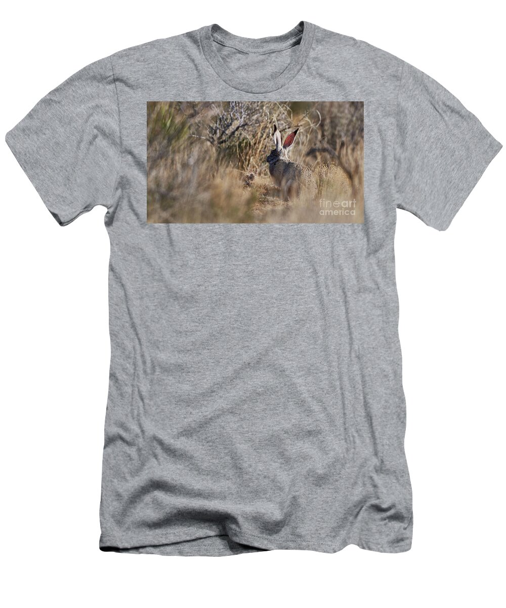Desert Rabbit T-Shirt featuring the photograph Desert Hare by Robert WK Clark