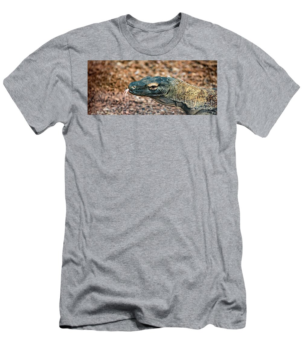 Dragon T-Shirt featuring the photograph Dragon with No Fire by Dheeraj Mutha