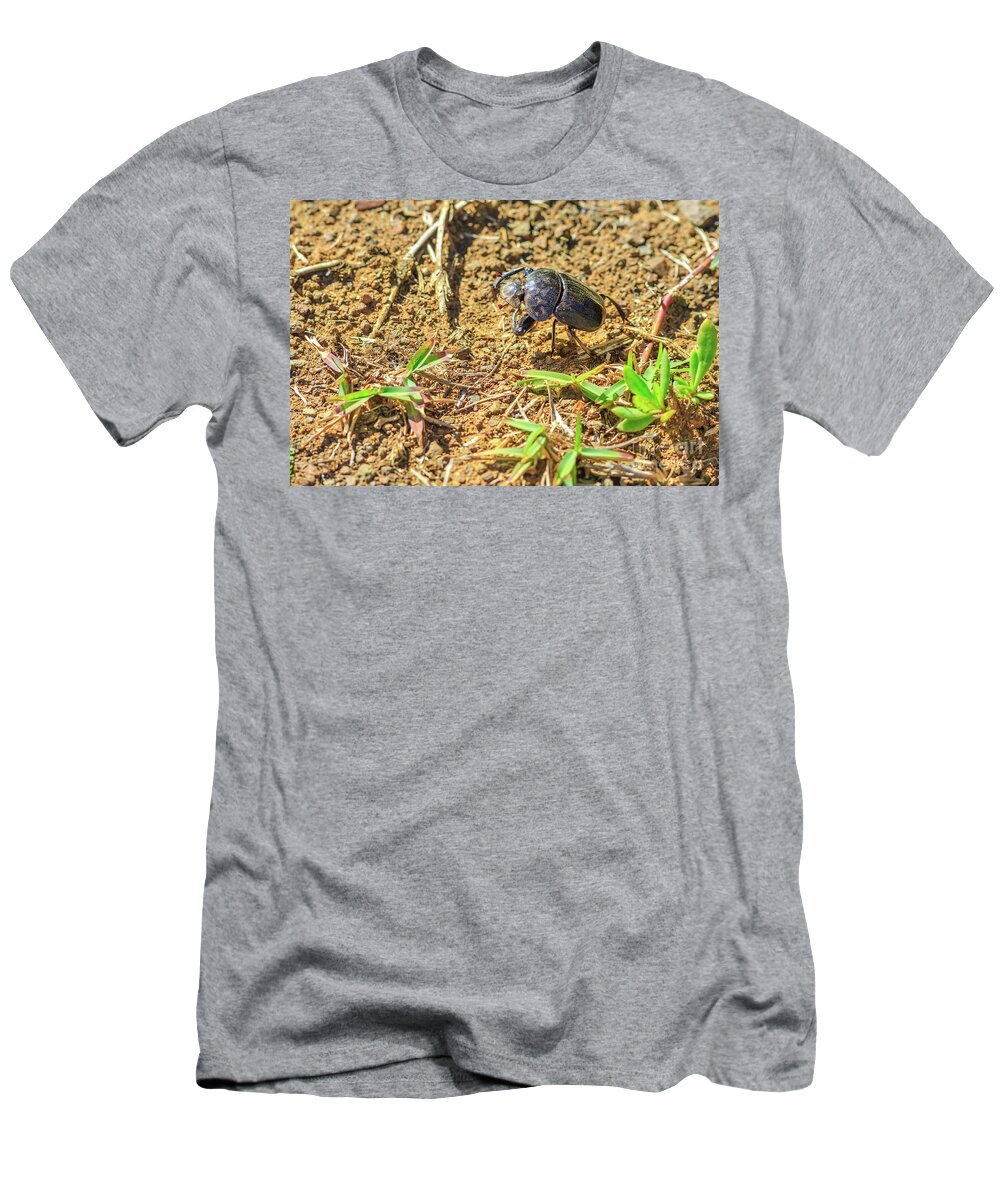 Dung Beetle T-Shirt featuring the photograph Dung beetle South Africa by Benny Marty