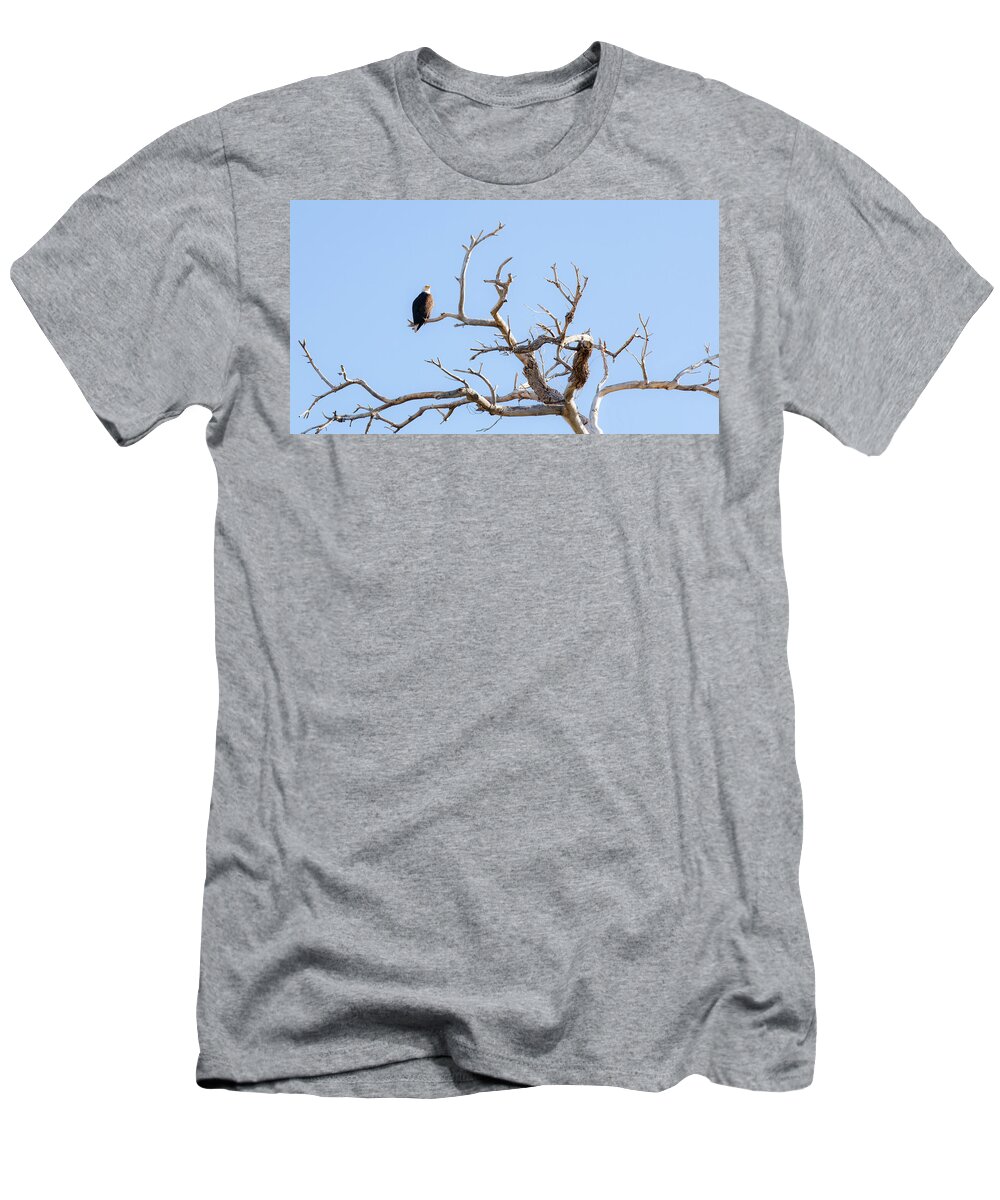  T-Shirt featuring the photograph Eagles in Nest Arizona by Catherine Walters