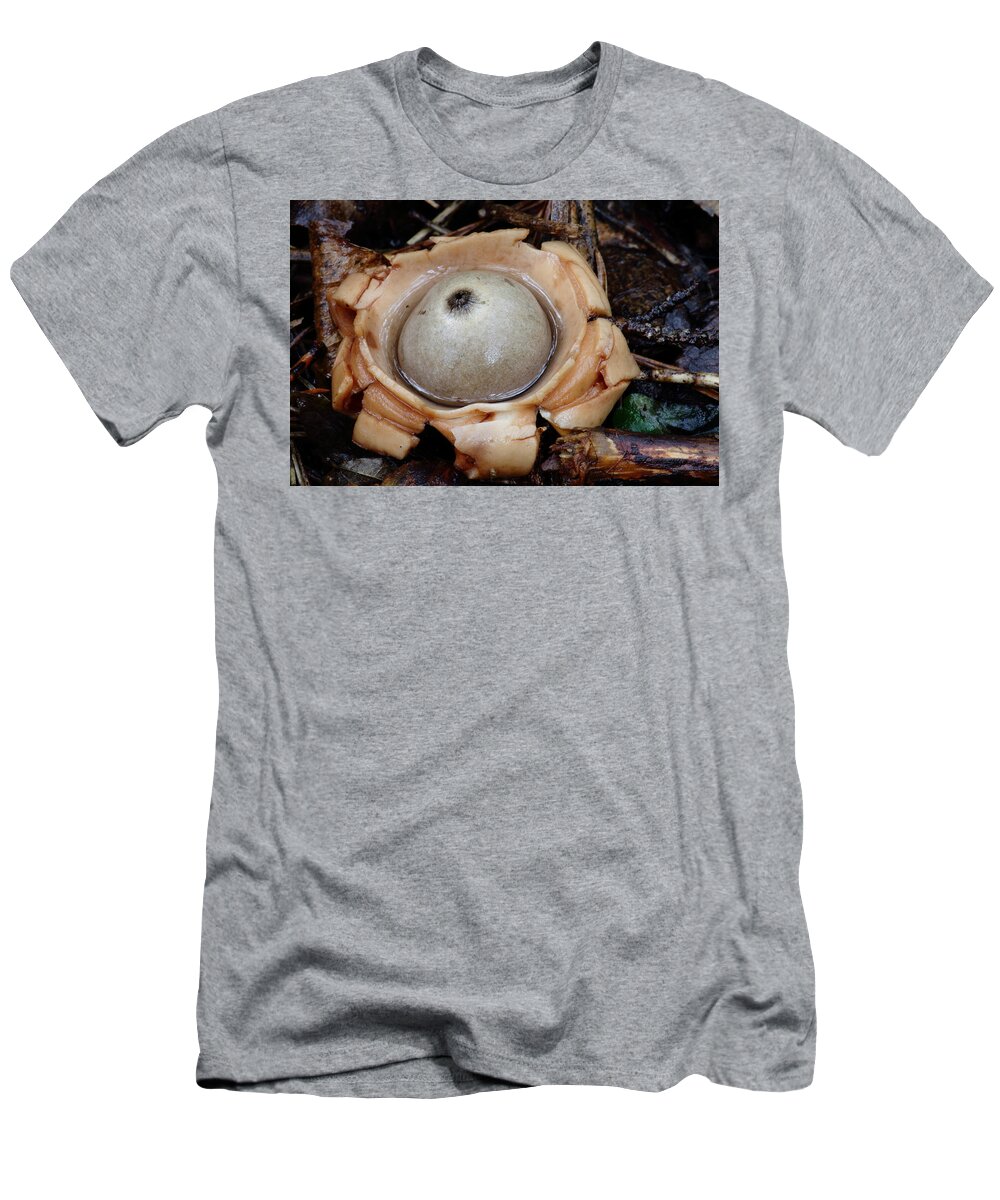 Geastrum Species T-Shirt featuring the photograph Earthstar by Daniel Reed