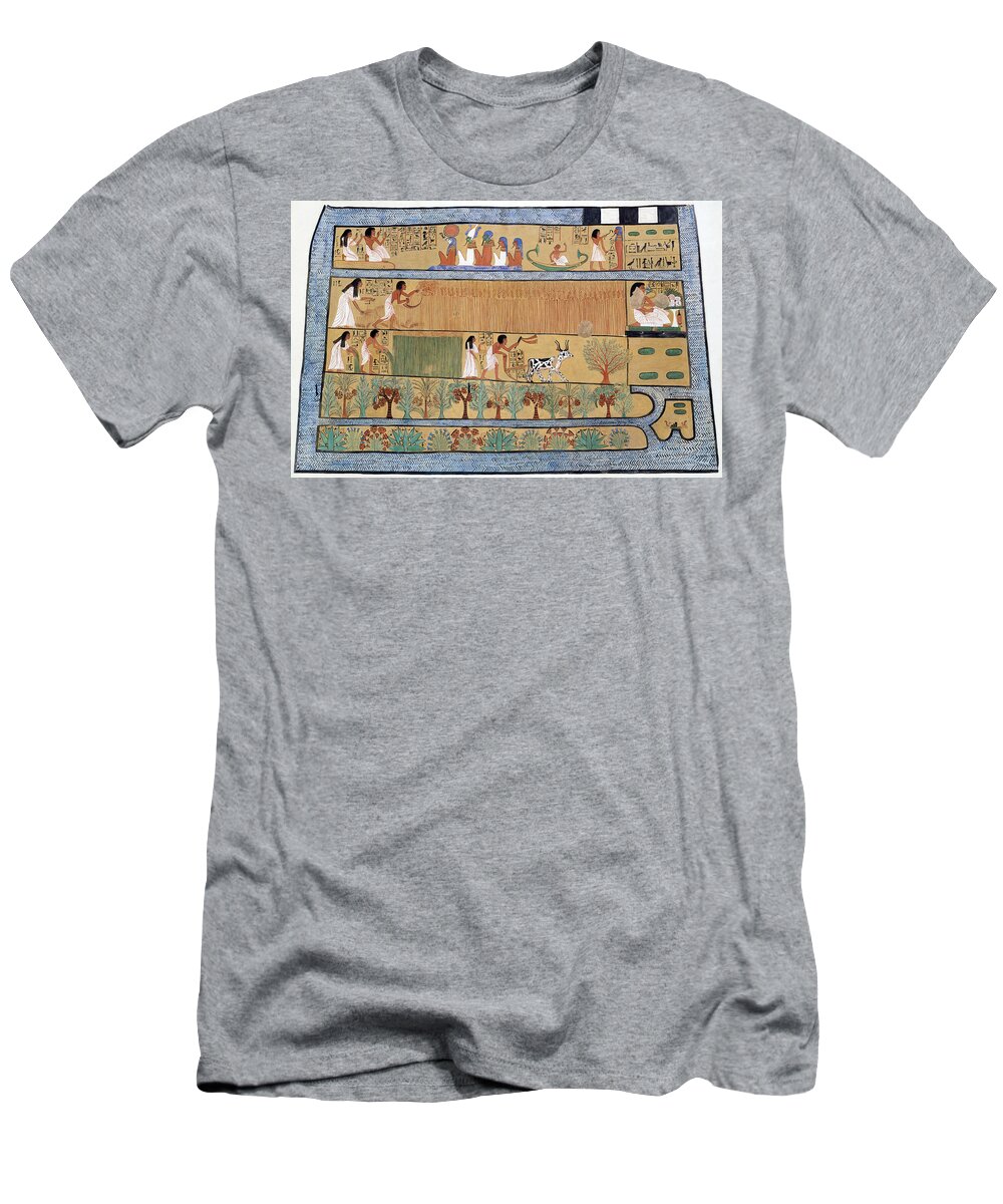 B1019 T-Shirt featuring the painting Egyptian Tomb Painting by Charles K. Wilkinson