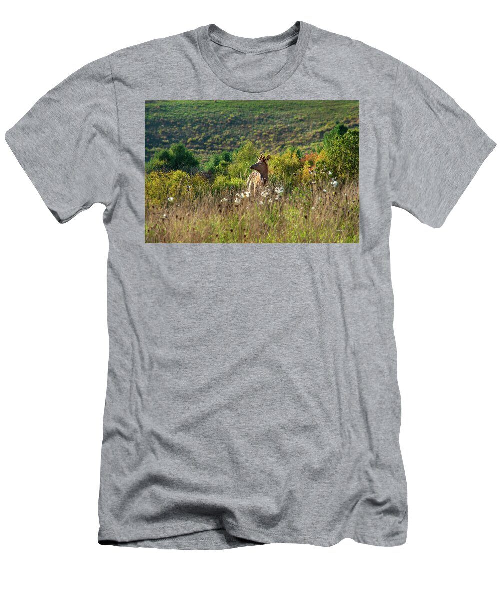 Elk T-Shirt featuring the photograph Elk In Fall Field by Christina Rollo