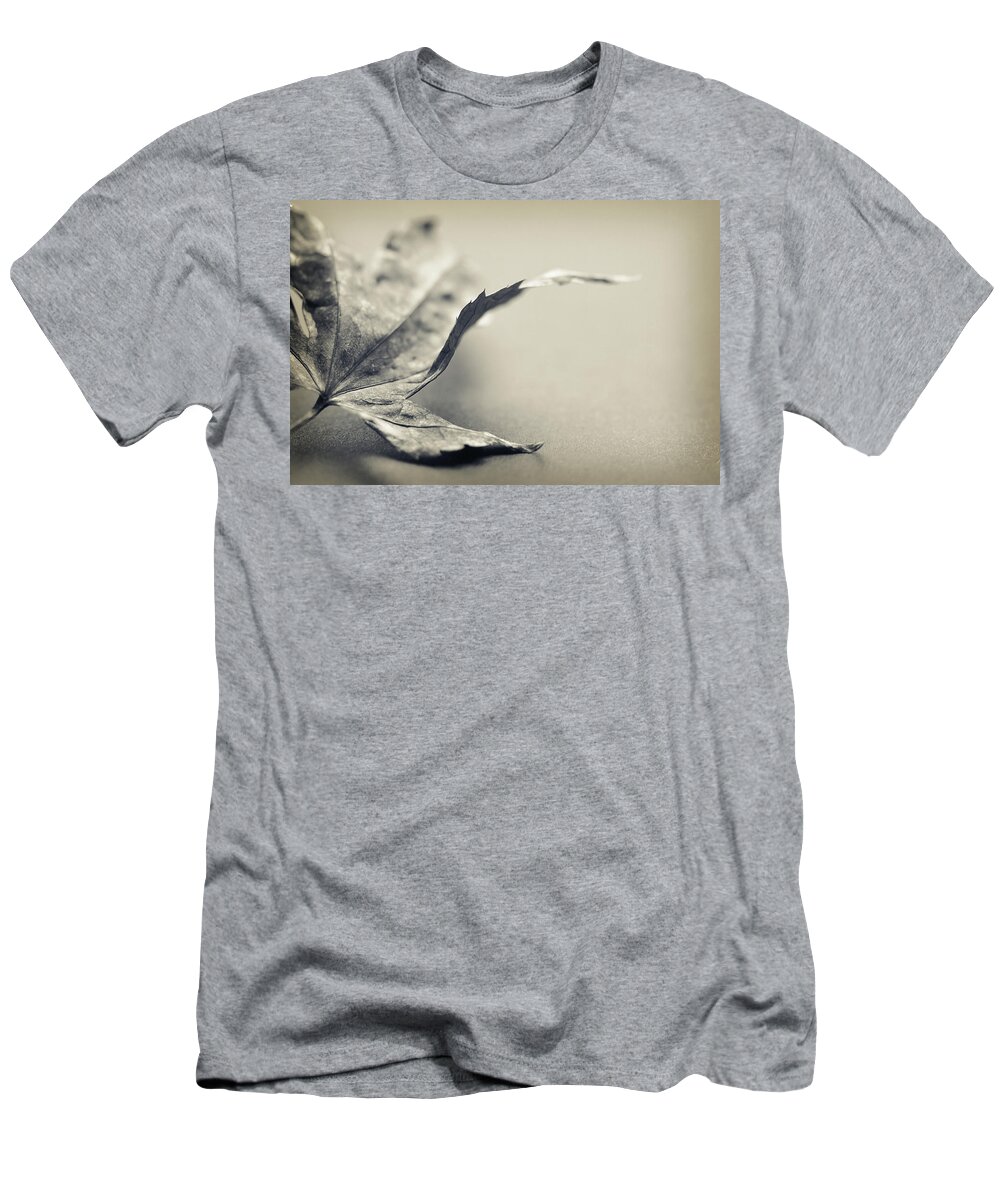 Black And White T-Shirt featuring the photograph Entranced by Michelle Wermuth