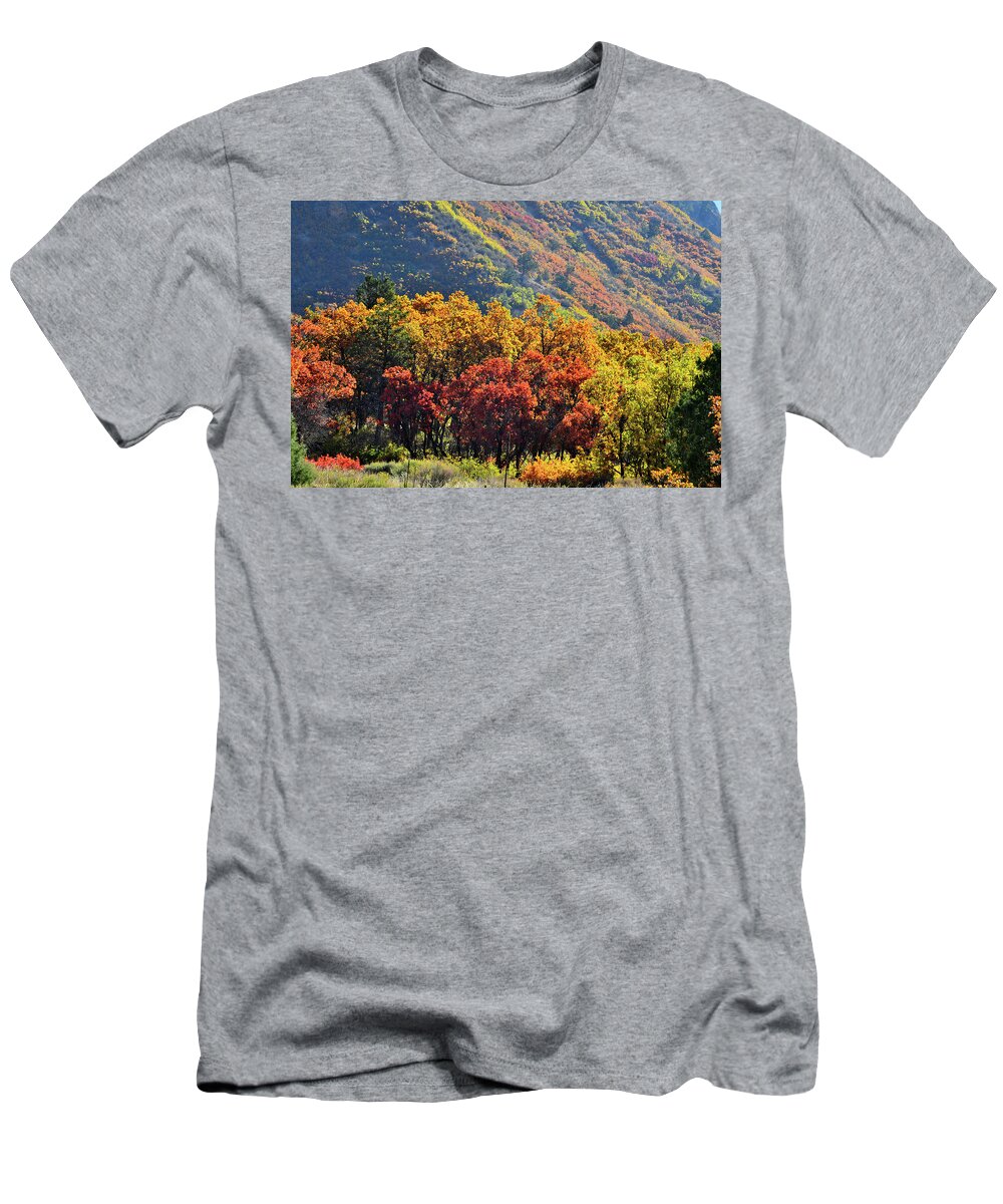 Colorado T-Shirt featuring the photograph Fall Colors along Avalanche Creek Road by Ray Mathis