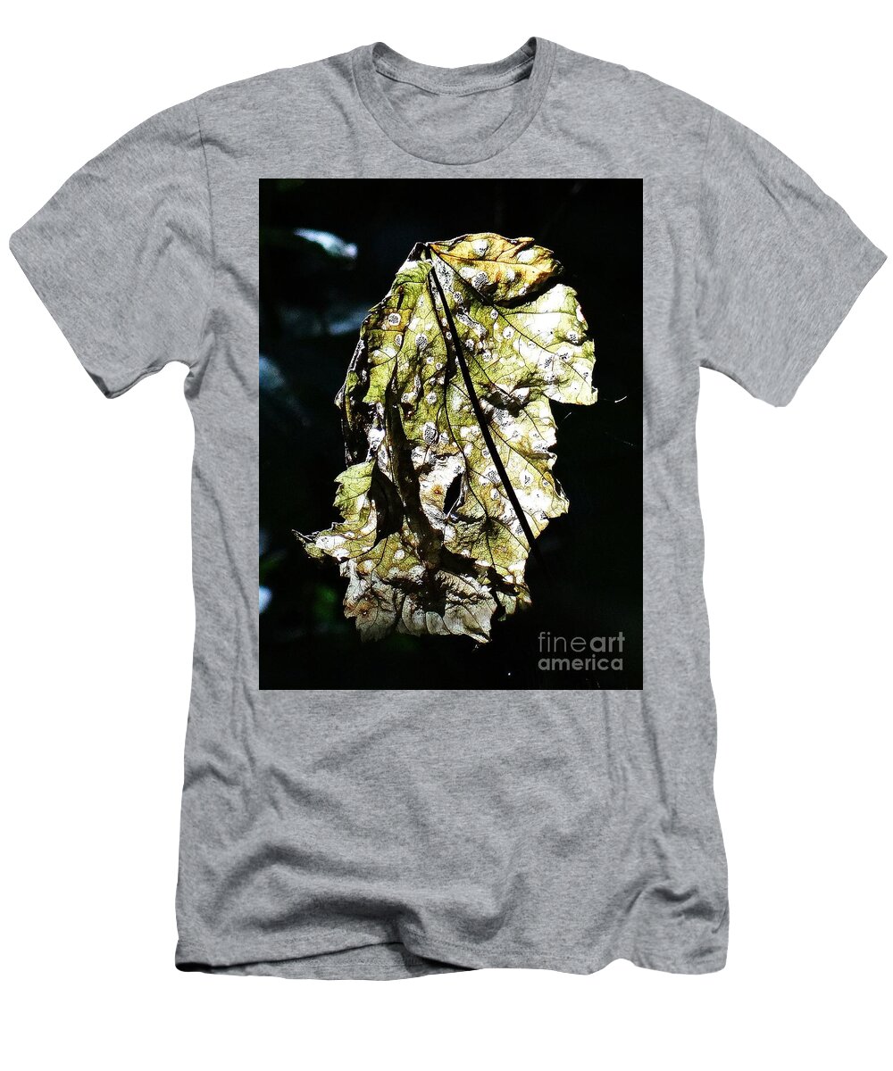 Fall T-Shirt featuring the photograph Fall leaf catching the light by Karin Ravasio