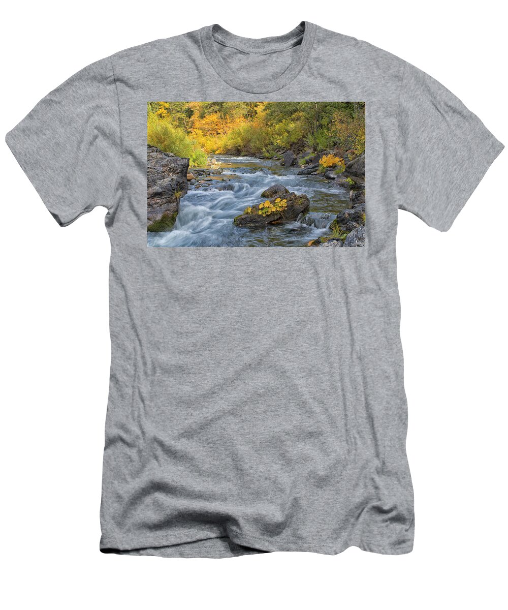 Yuba River T-Shirt featuring the photograph Fall on the Yuba by Tom Kelly