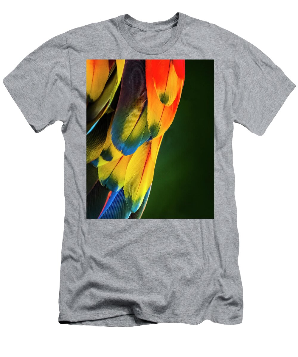 Feathers T-Shirt featuring the photograph Feather Rainbow by Ginger Stein