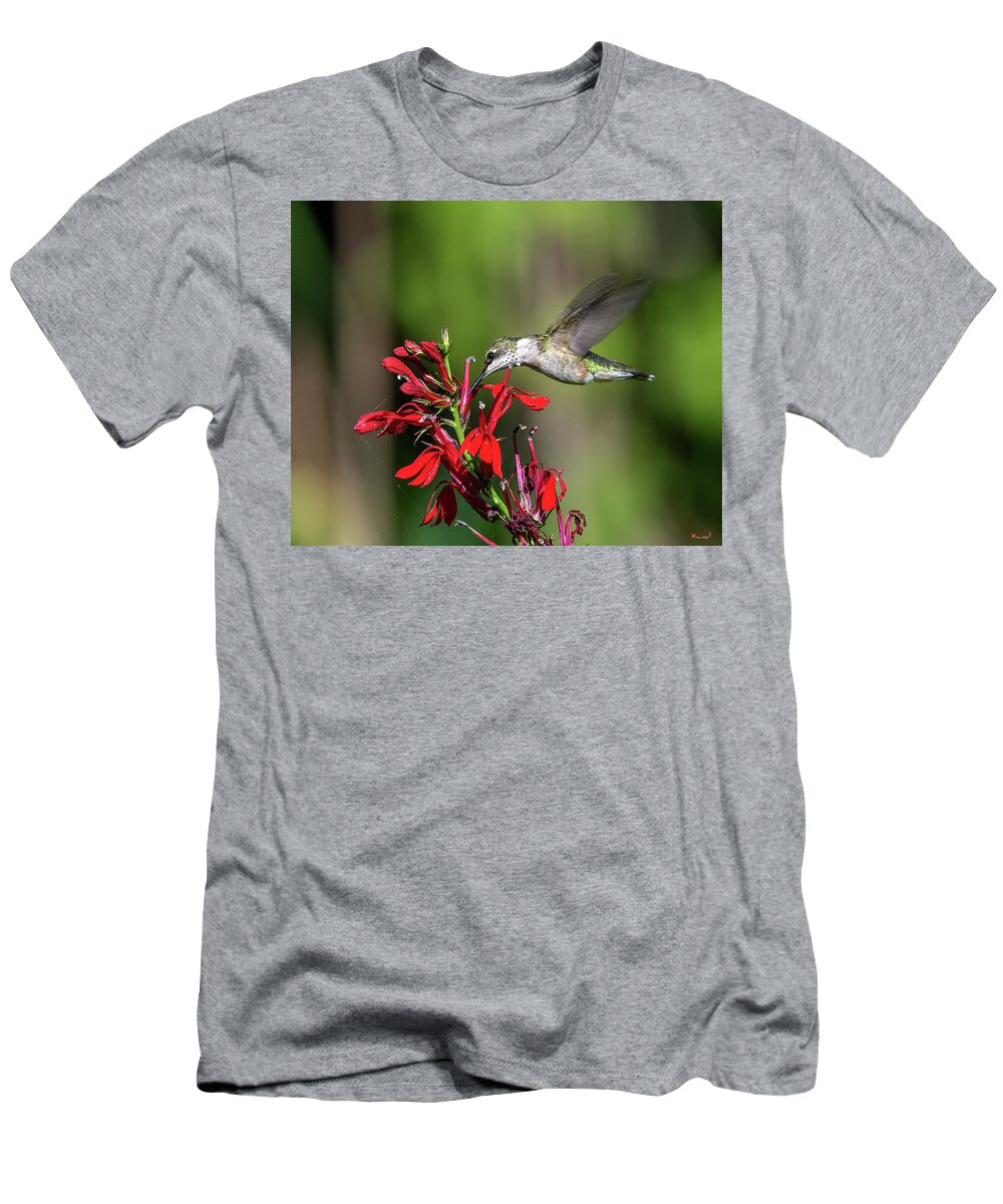 Nature T-Shirt featuring the photograph Female Ruby-throated Hummingbird DSB0319 by Gerry Gantt