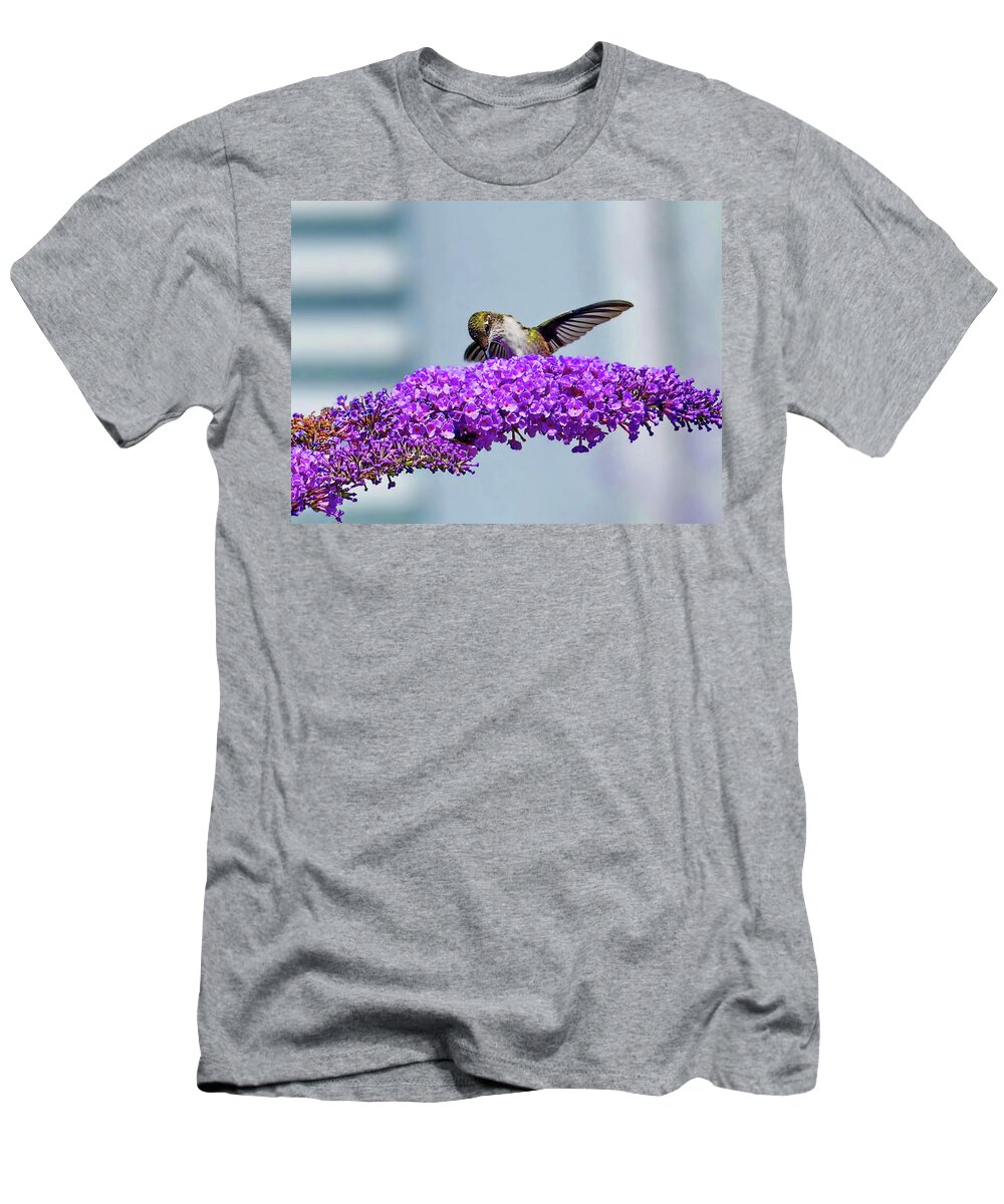 Ruby-throated Hummingbird T-Shirt featuring the photograph Female Ruby-throated Hummingbird by Lyuba Filatova
