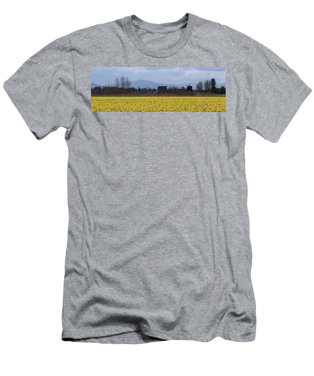 Pano T-Shirt featuring the photograph Fields of Daffodils by Briand Sanderson