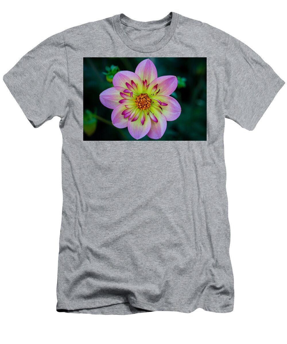 Flower T-Shirt featuring the photograph Flower 3 by Anamar Pictures