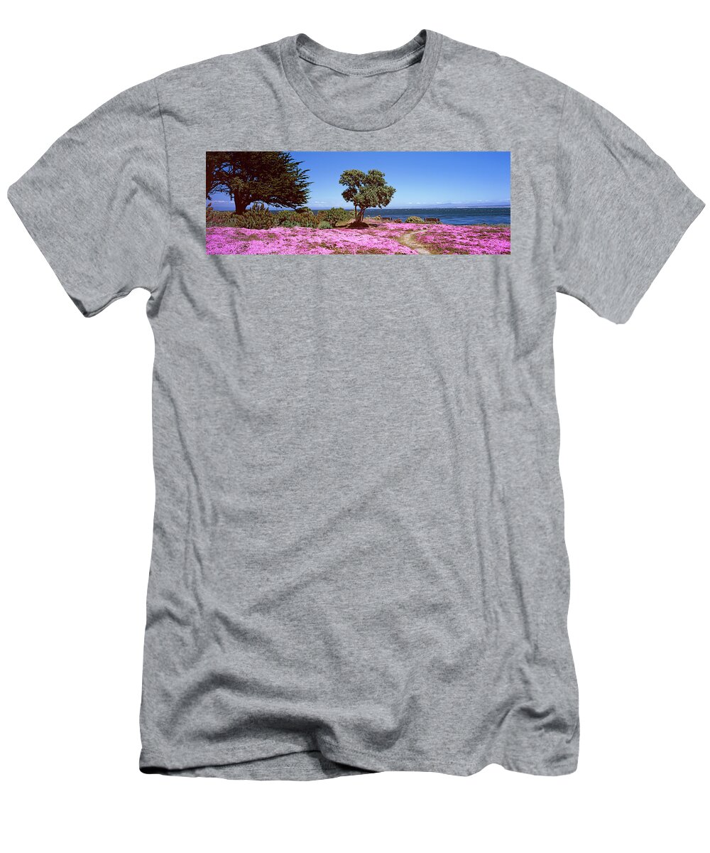 Photography T-Shirt featuring the photograph Flowers On The Beach, Pacific Grove by Panoramic Images