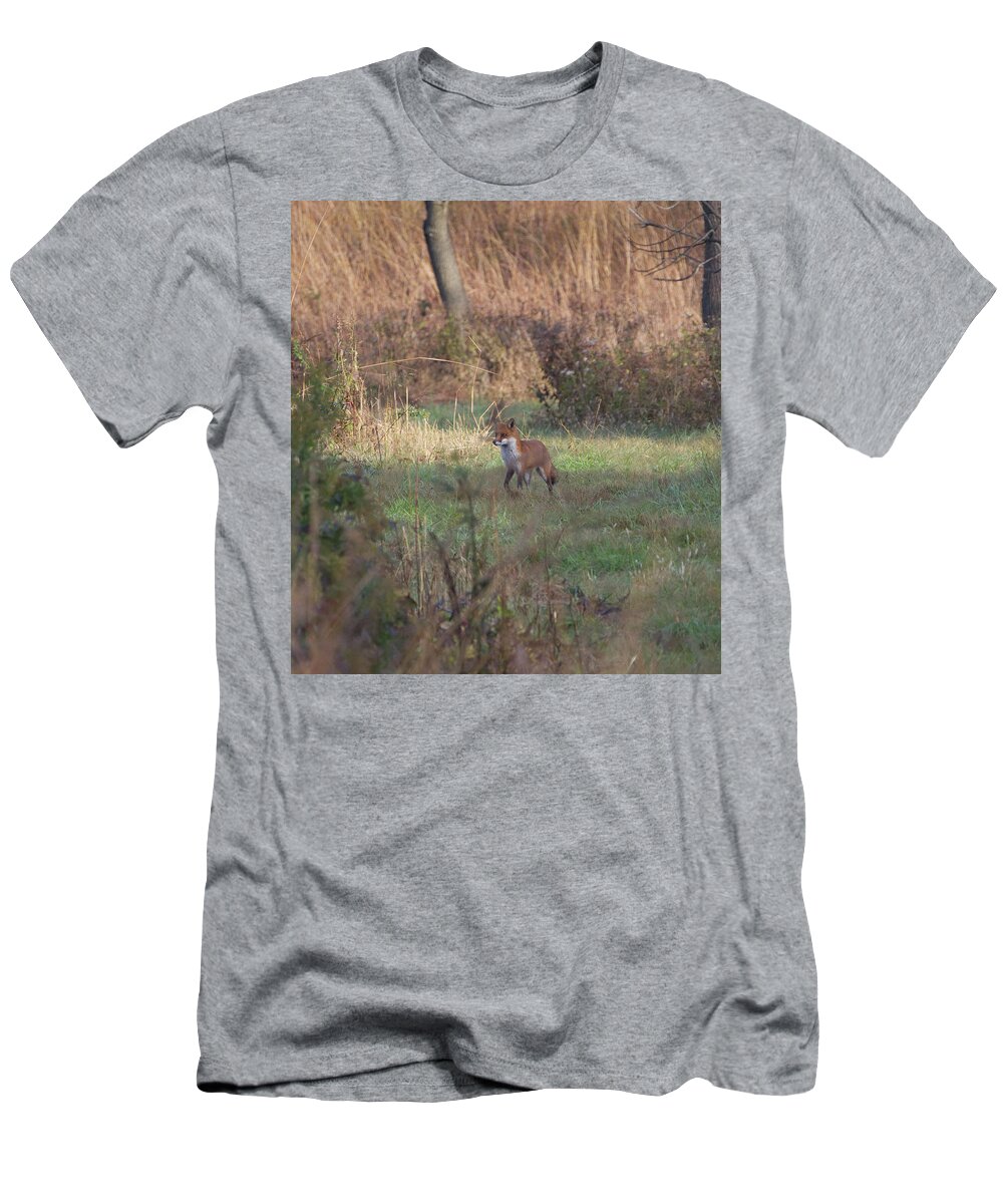 Animal T-Shirt featuring the photograph Fox on prowl by Paul Ross