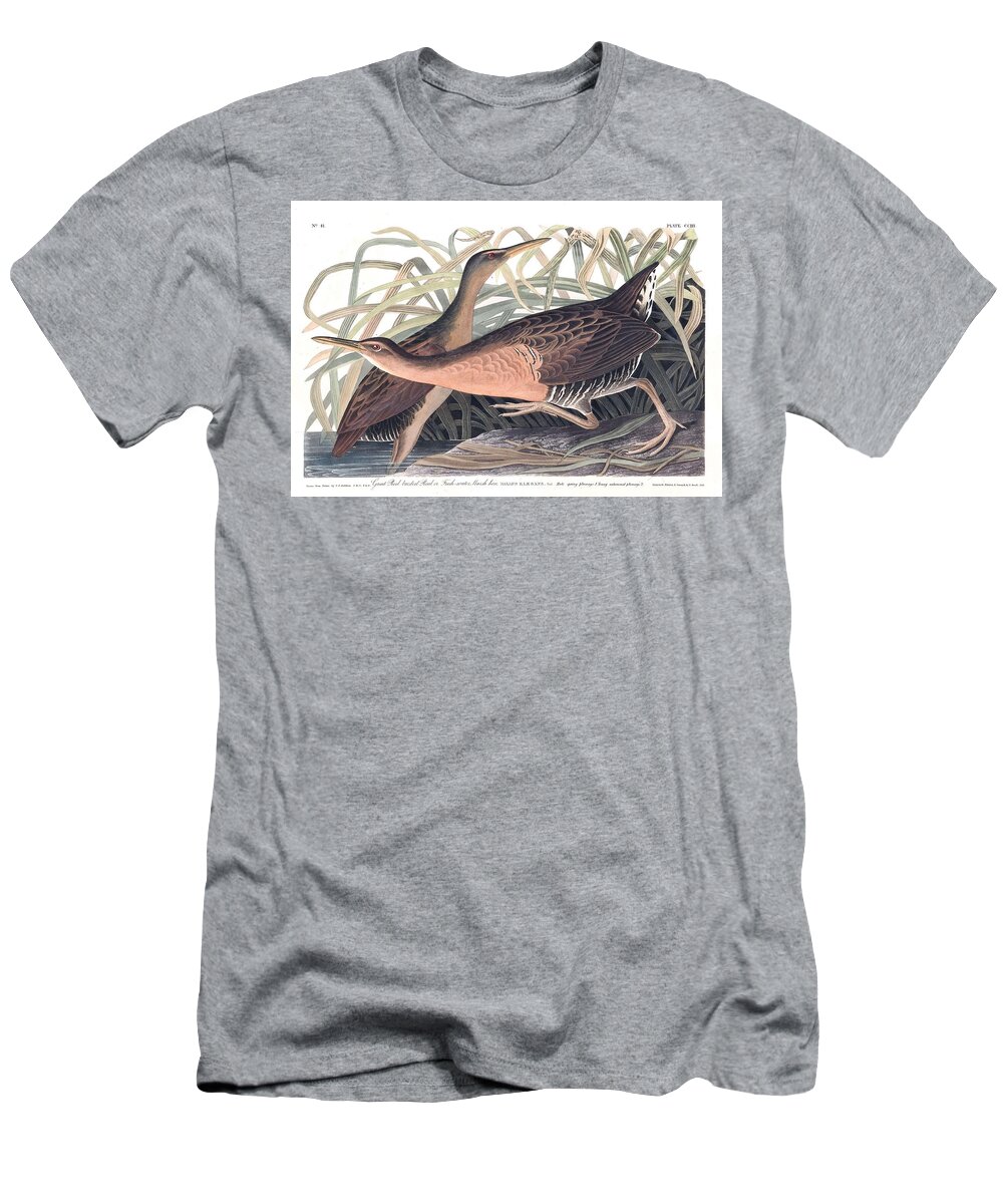 Nature T-Shirt featuring the painting Fresh Water Marsh Hen by John Audubon by Celestial Images