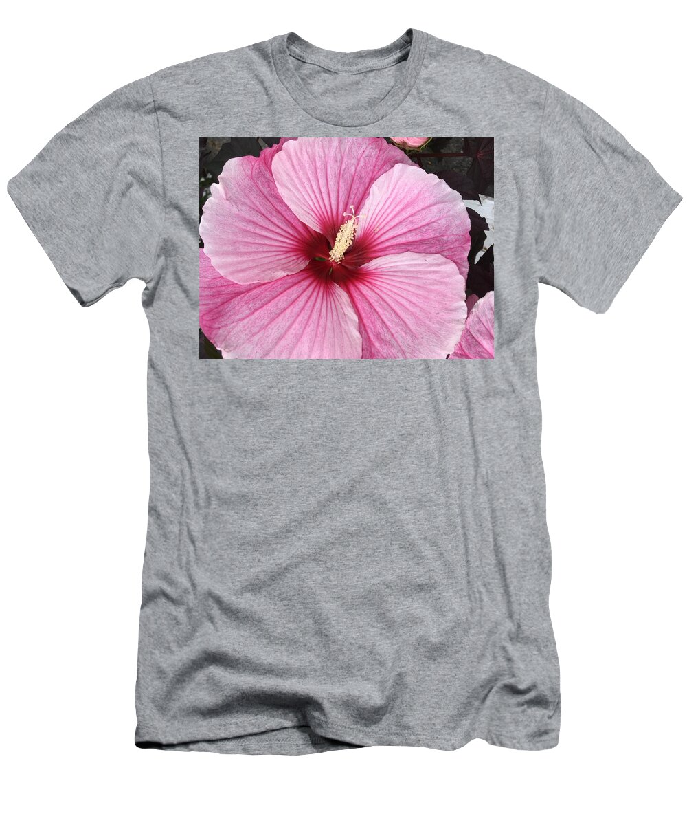 Hibiscus T-Shirt featuring the photograph Fuschia Fantastic by Anjel B Hartwell