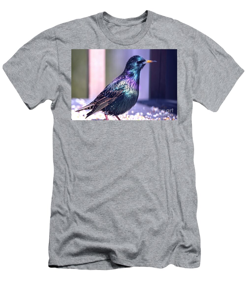 Starling T-Shirt featuring the photograph Glorious Color on the Starling by Sandra J's