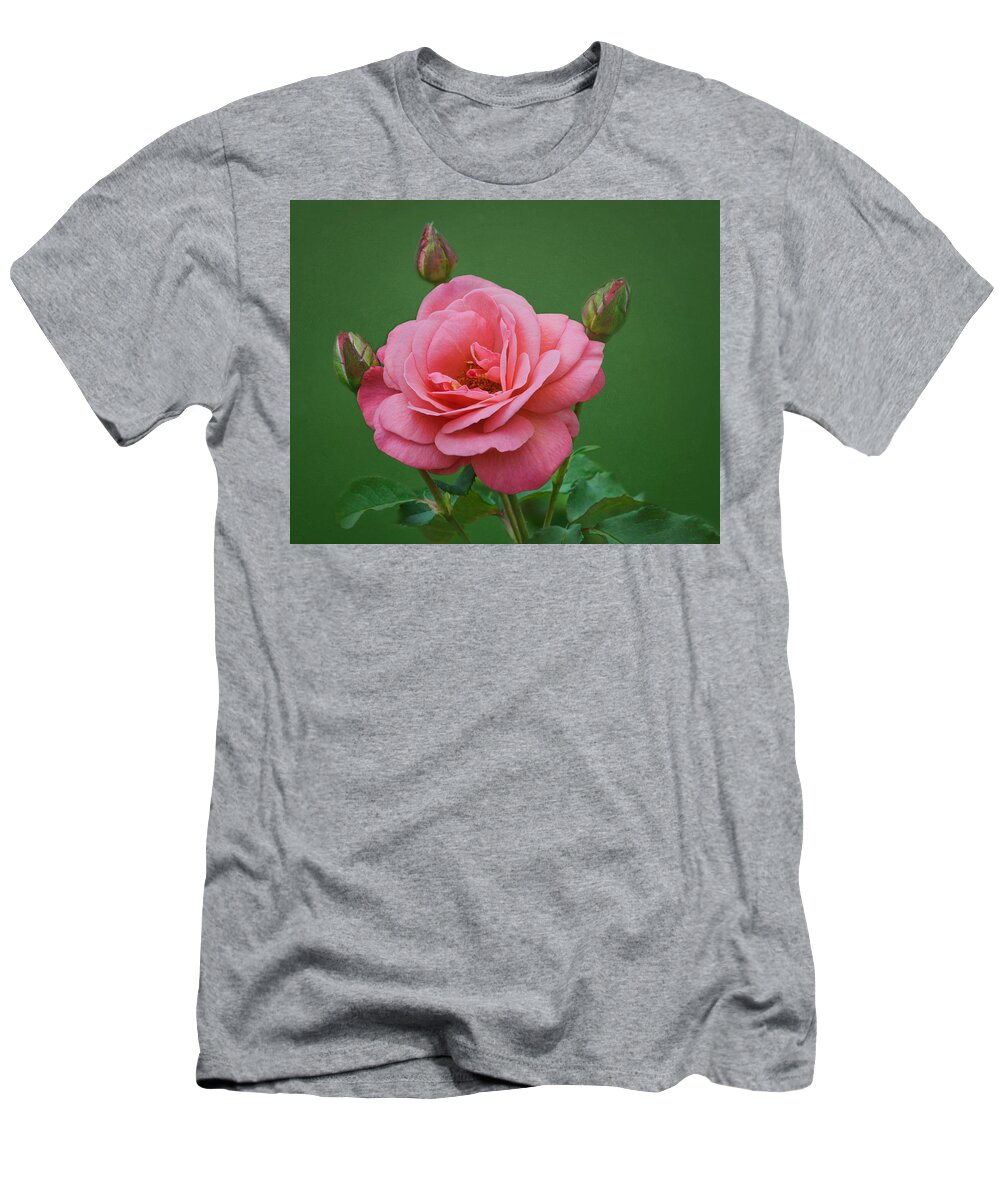 Flowers T-Shirt featuring the photograph Grandiflora Rose - Rosa Baisme by Nikolyn McDonald