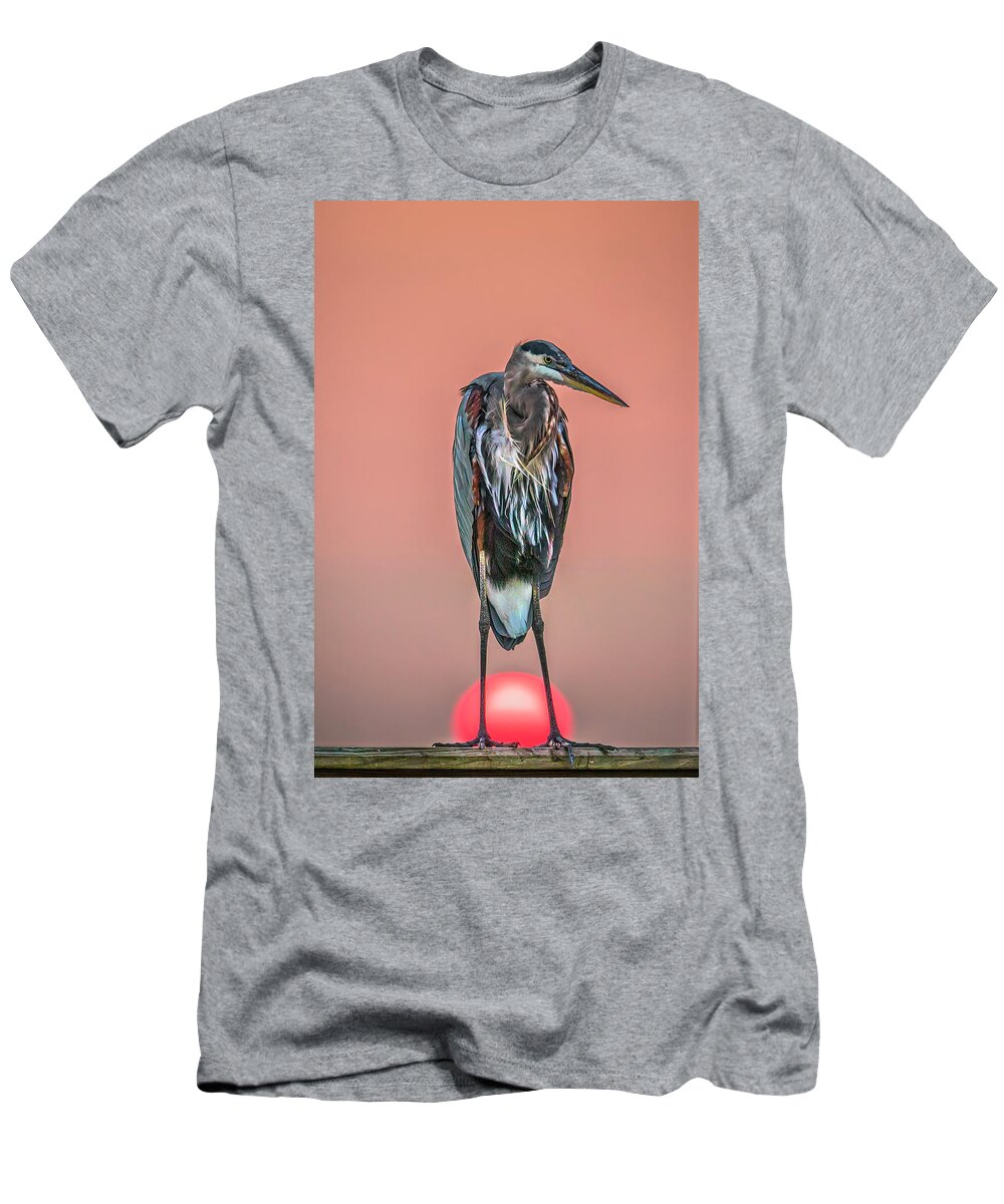 Heron T-Shirt featuring the photograph Great Ball of Fire by JASawyer Imaging