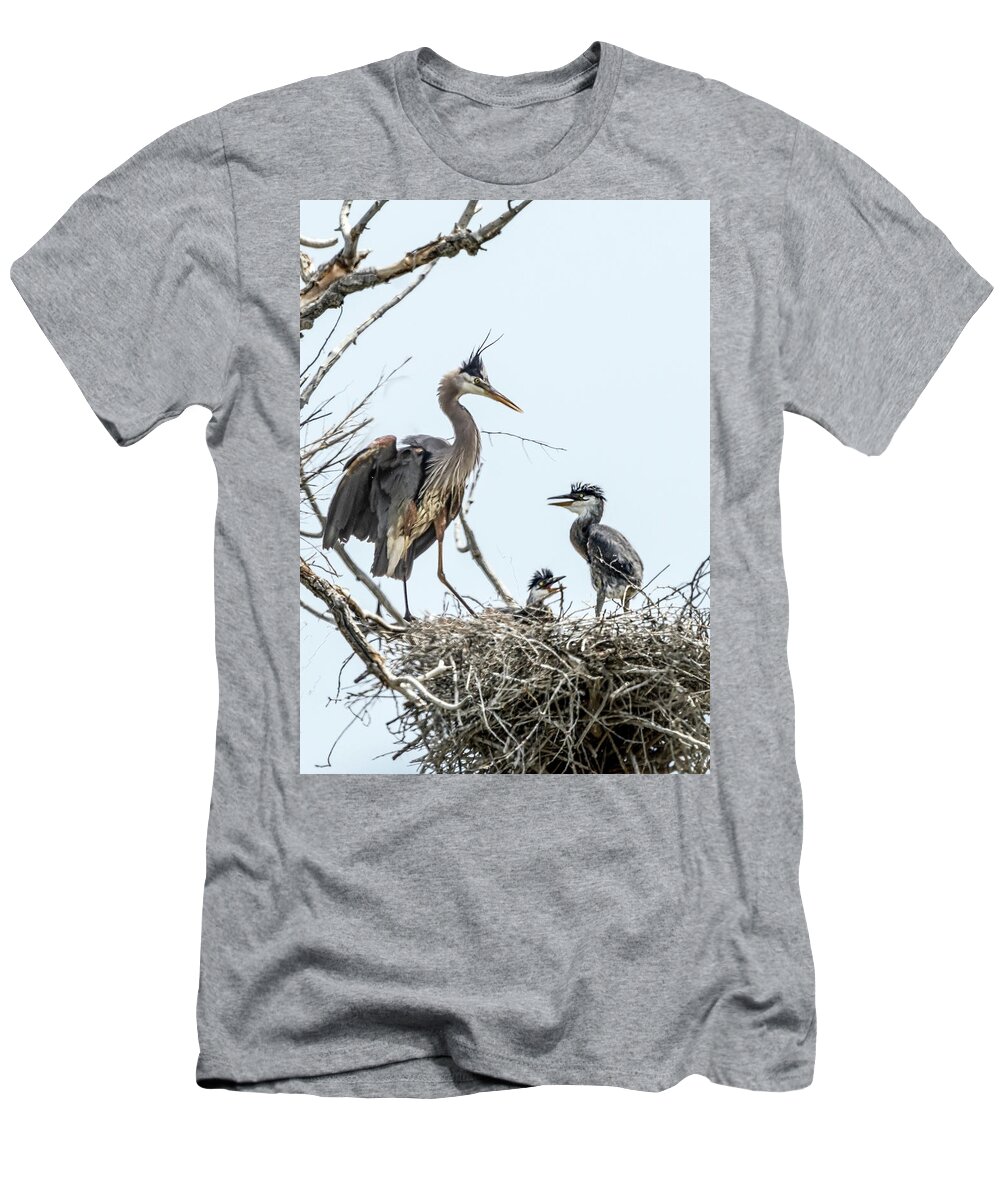 Stillwater Wildlife Refuge T-Shirt featuring the photograph Great Blue Heron Rookery 1 by Rick Mosher
