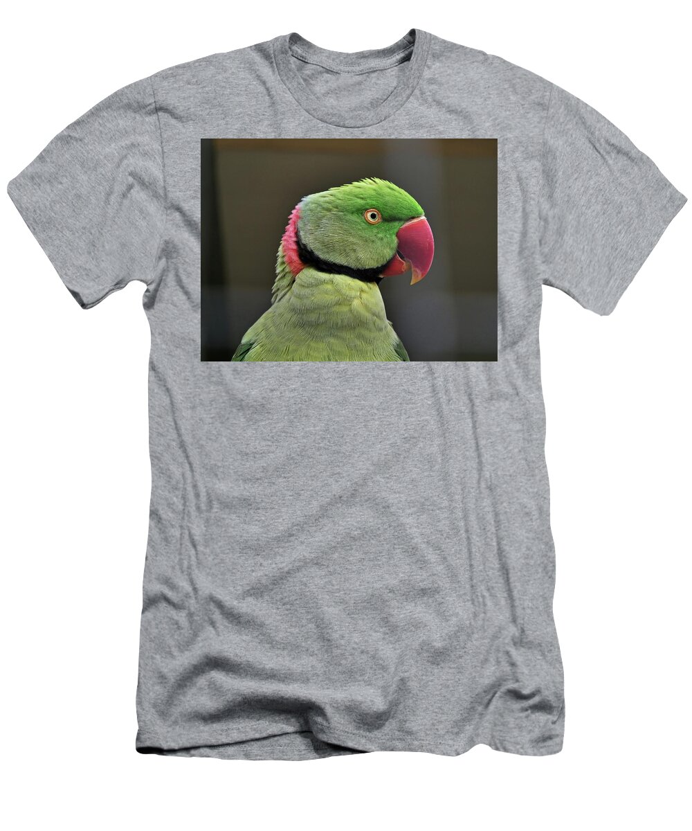 Bird T-Shirt featuring the photograph Green parrot by Martin Smith