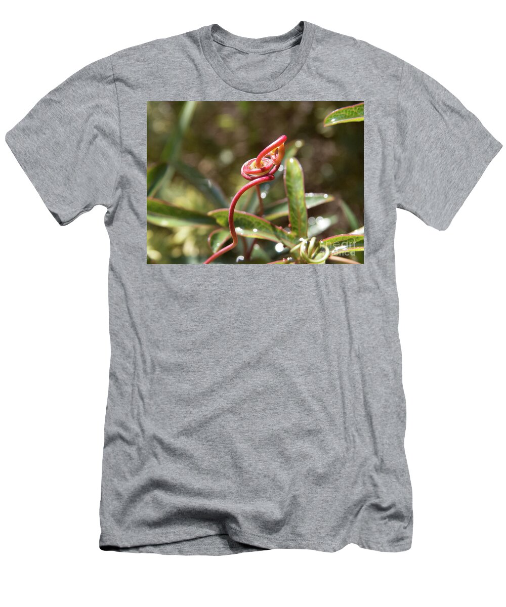 Grevillea T-Shirt featuring the photograph Grevillea Coconut Ice Pink Flower 2 by Christy Garavetto