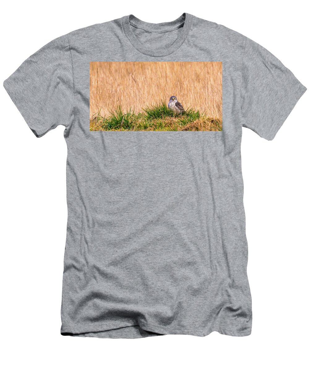 Animal T-Shirt featuring the photograph Grey Ghost with Grass by Marv Vandehey