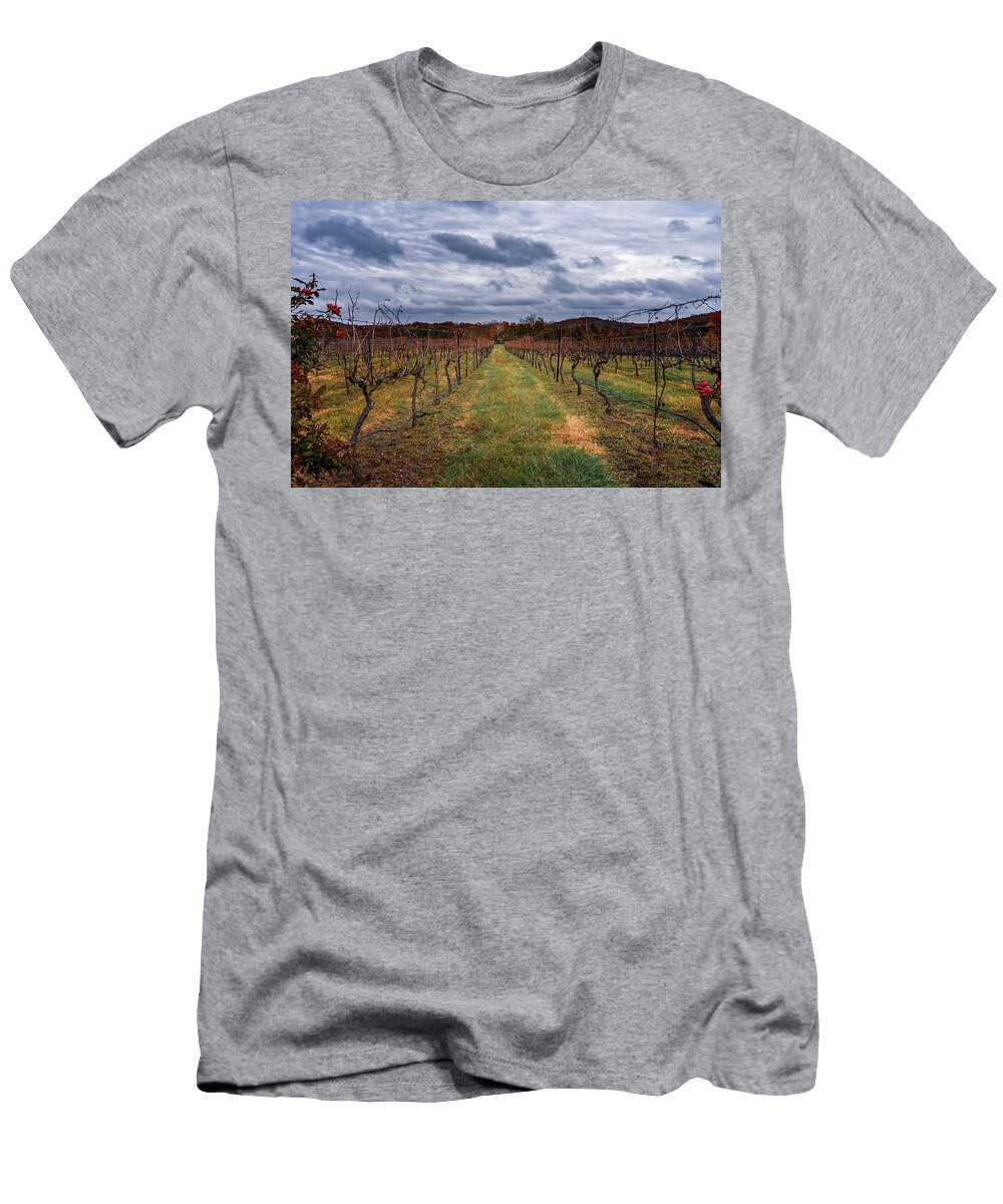 Autumn T-Shirt featuring the photograph Harvested Grapevines by Robert FERD Frank
