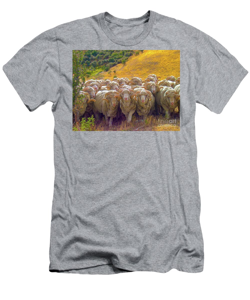 Sheep T-Shirt featuring the photograph Herding Merino Sheep by Leslie Struxness