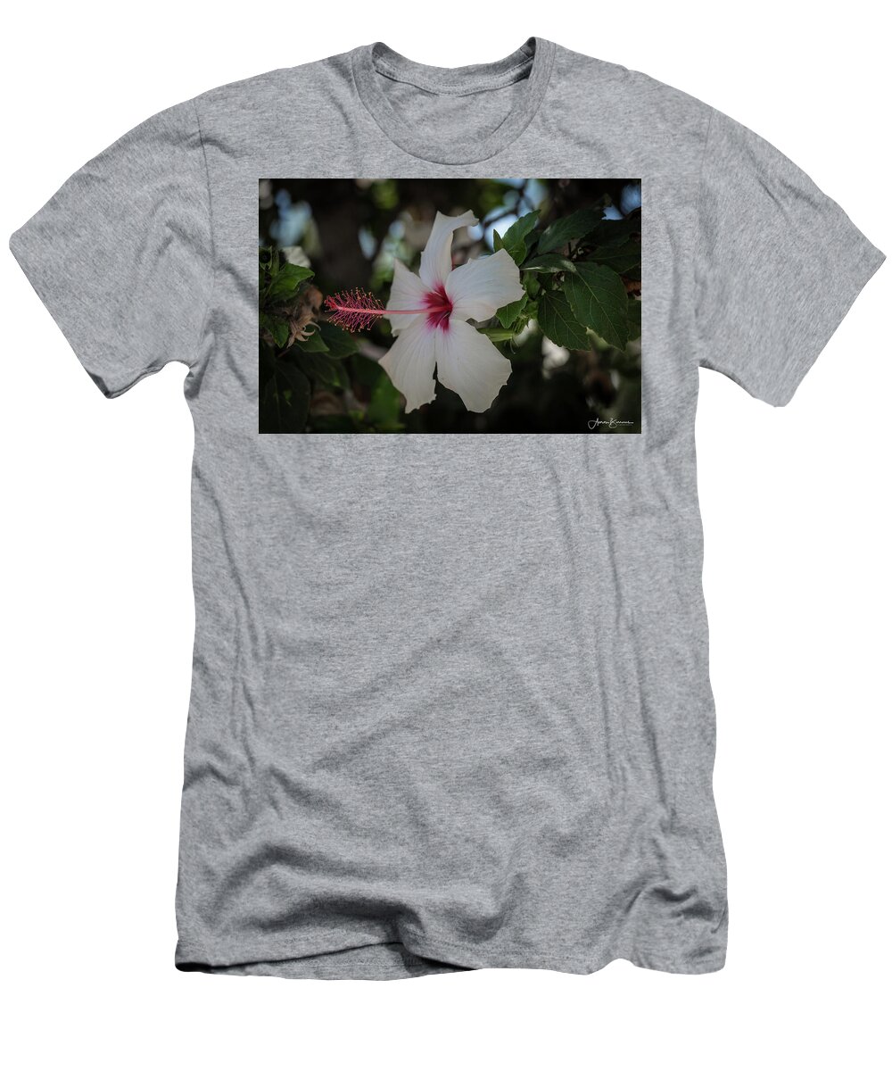 Flower T-Shirt featuring the photograph Hibiscus Light by Aaron Burrows