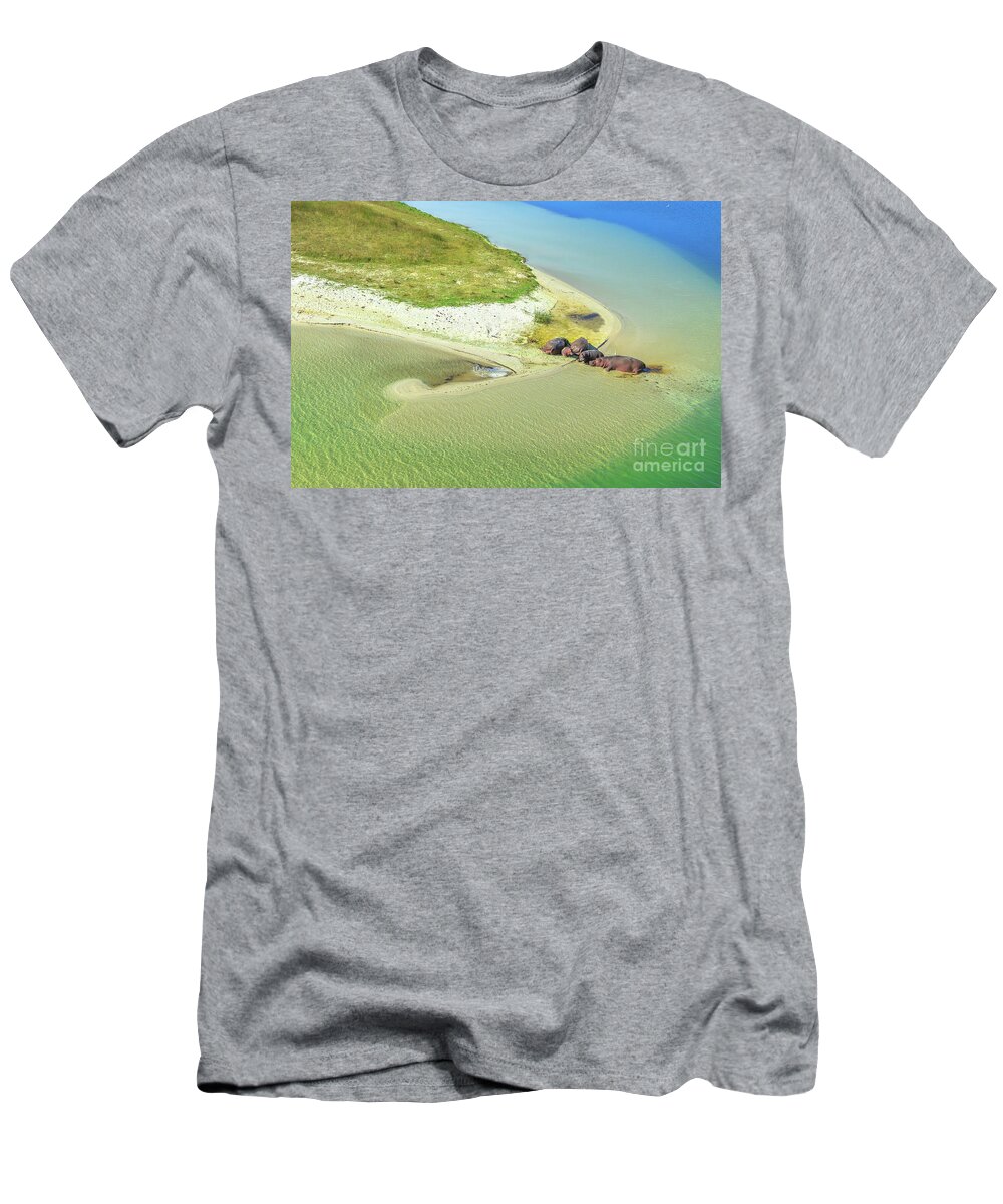Hippo T-Shirt featuring the photograph Hippopotamus on a river by Benny Marty