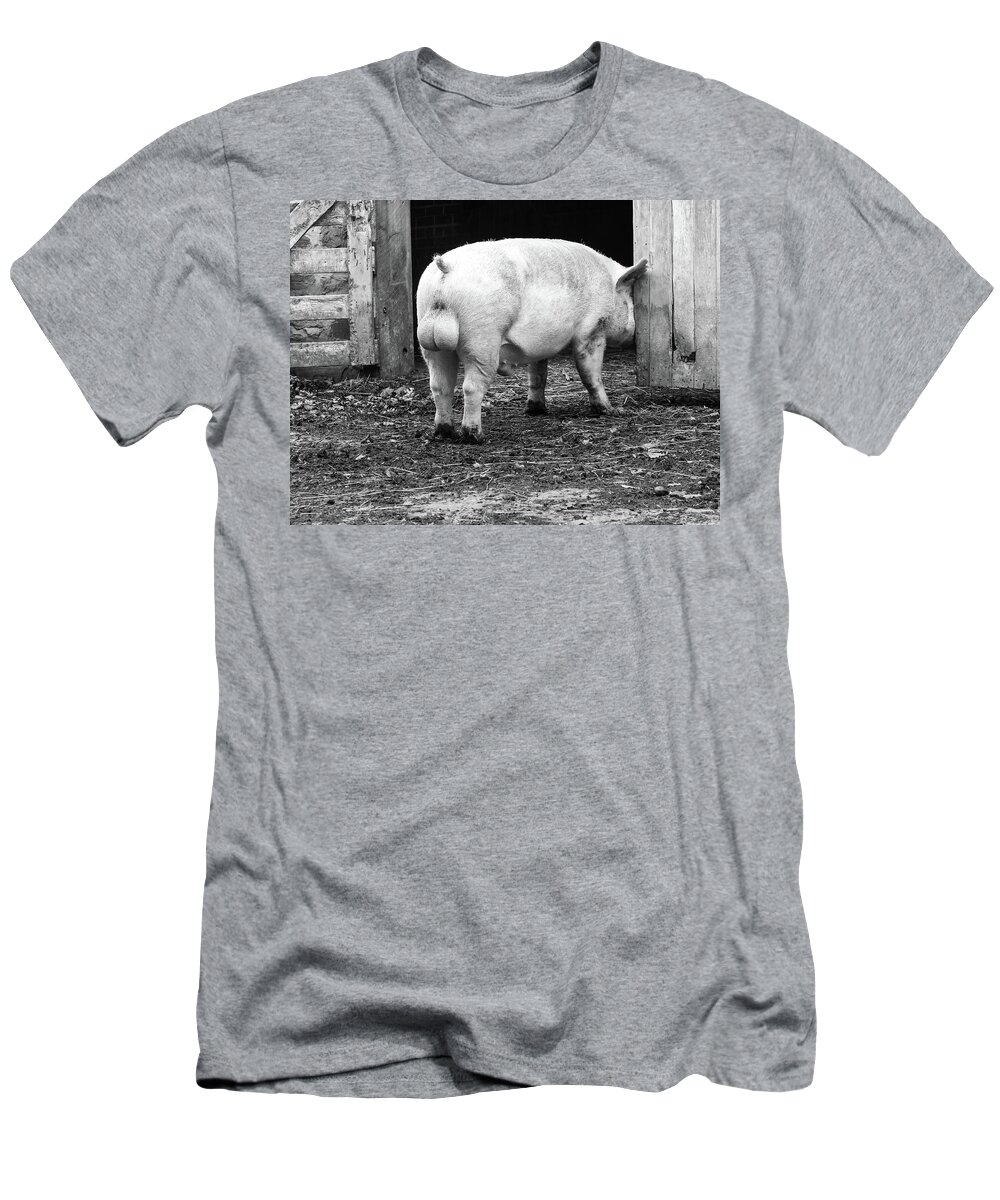 Extreme Balls T-Shirt featuring the photograph hog by Nick Mares